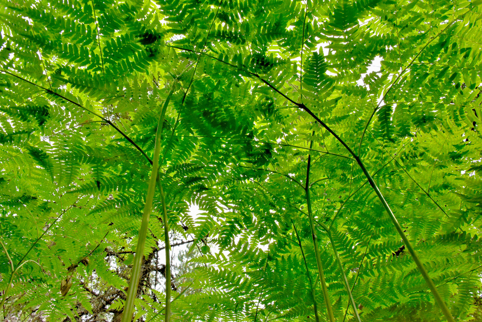 Valokuvaaja: Reijo Juurinen