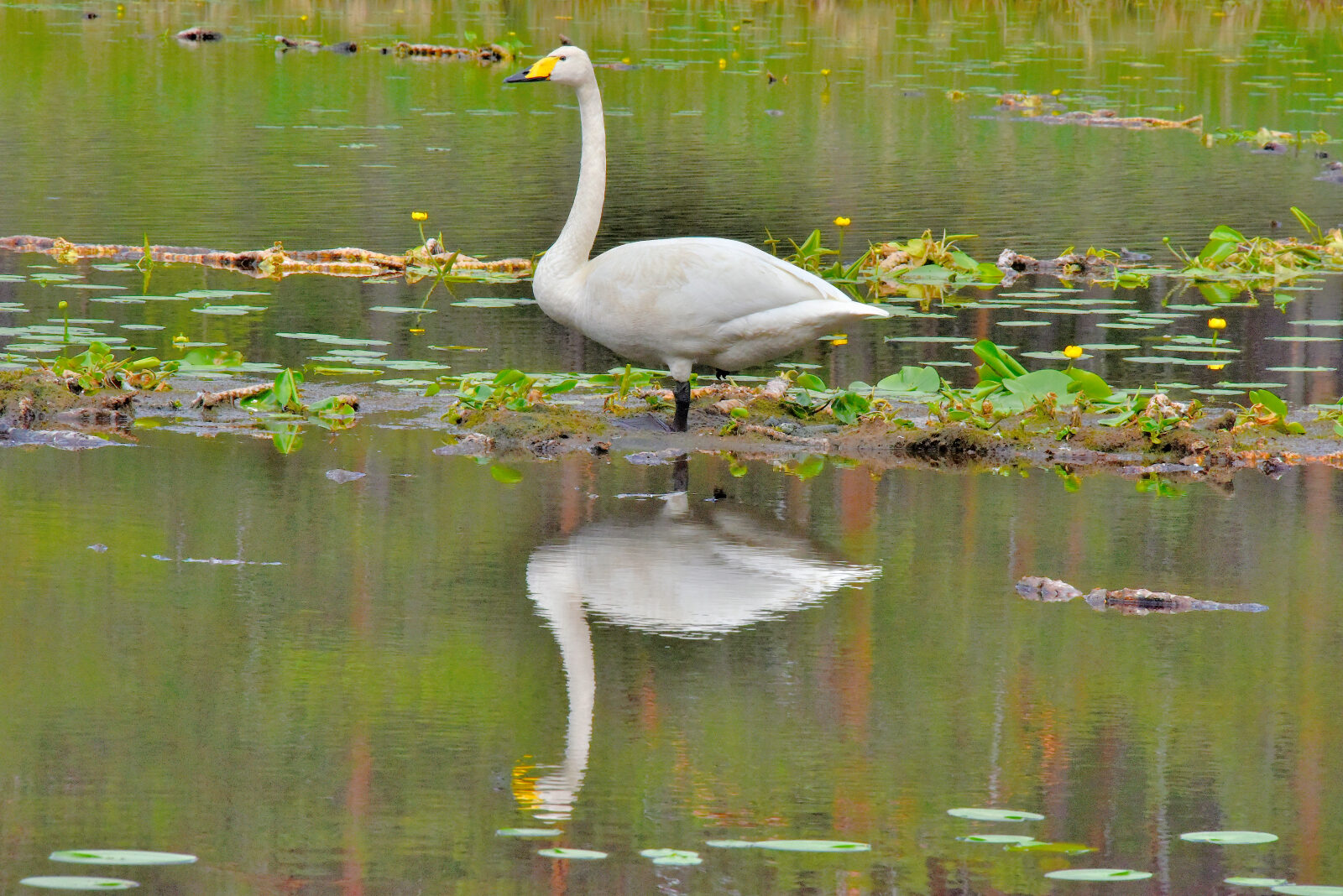 Valokuvaaja: Reijo Juurinen