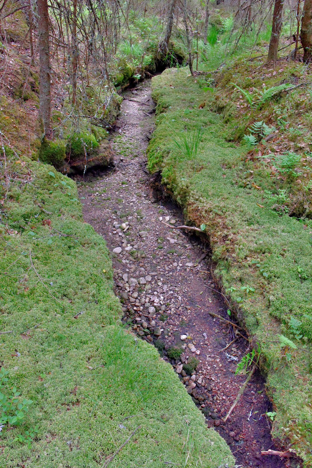 Valokuvaaja: Reijo Juurinen