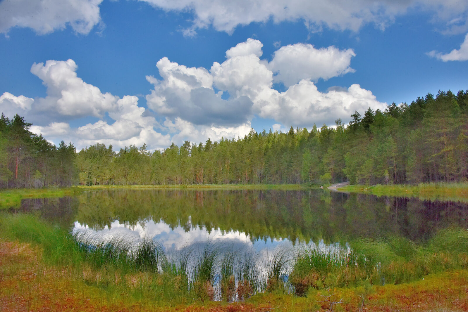 Valokuvaaja: Reijo Juurinen