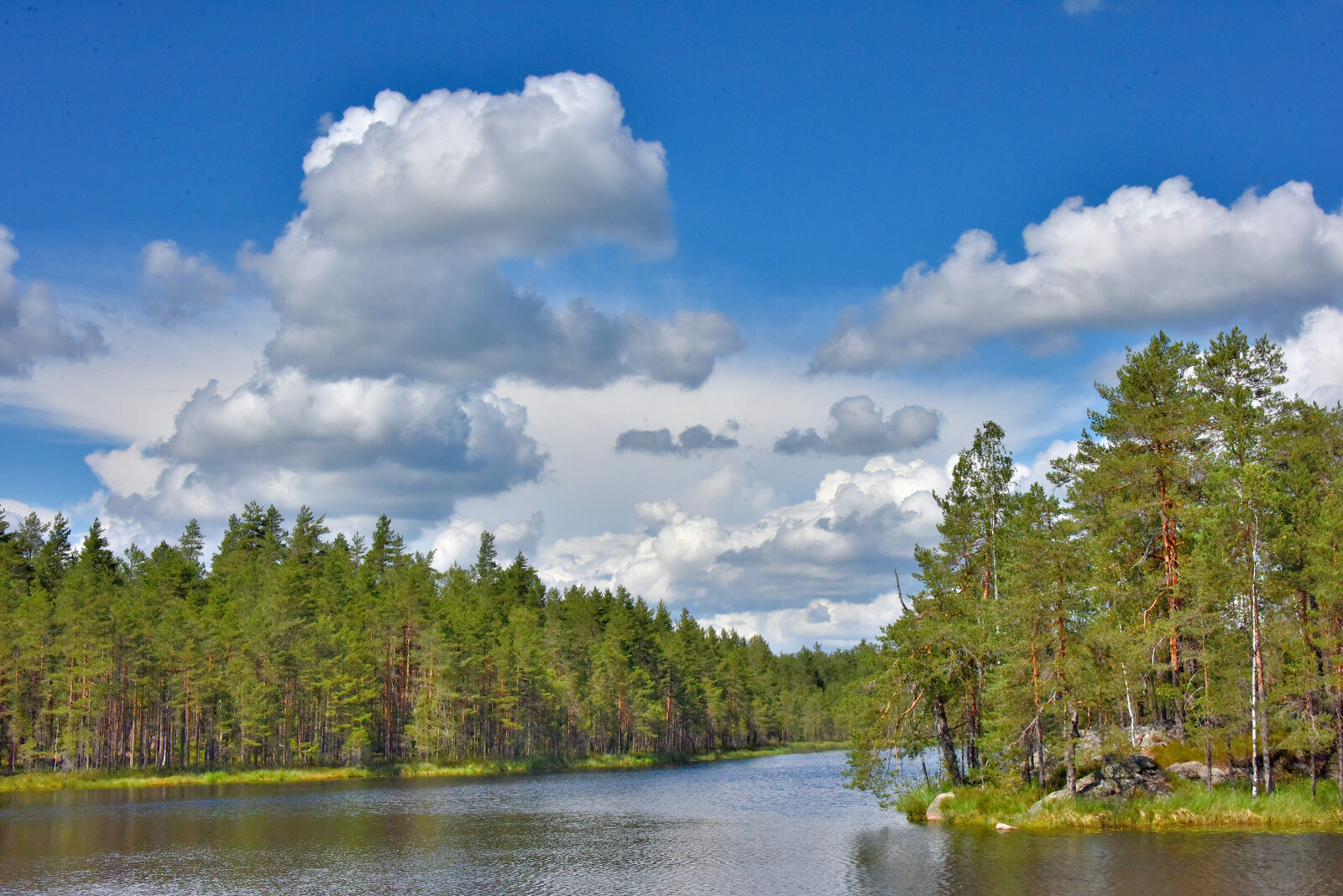 Valokuvaaja: Reijo Juurinen