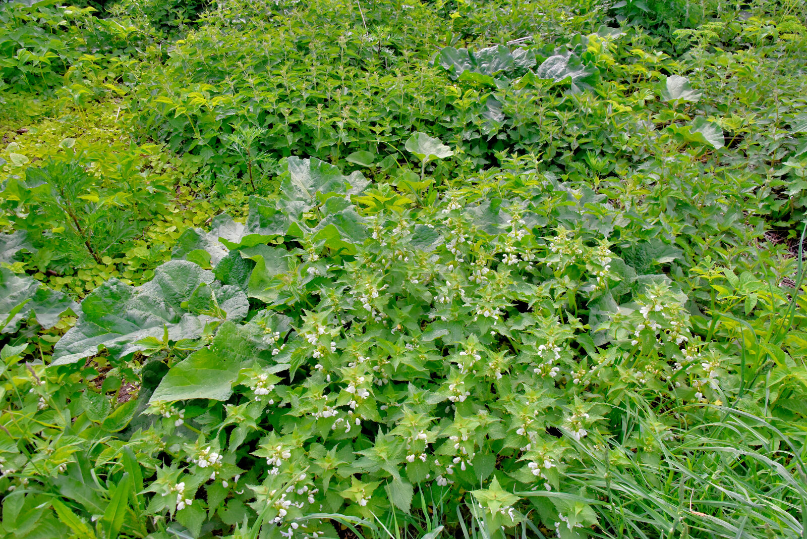 Valokuvaaja: Reijo Juurinen