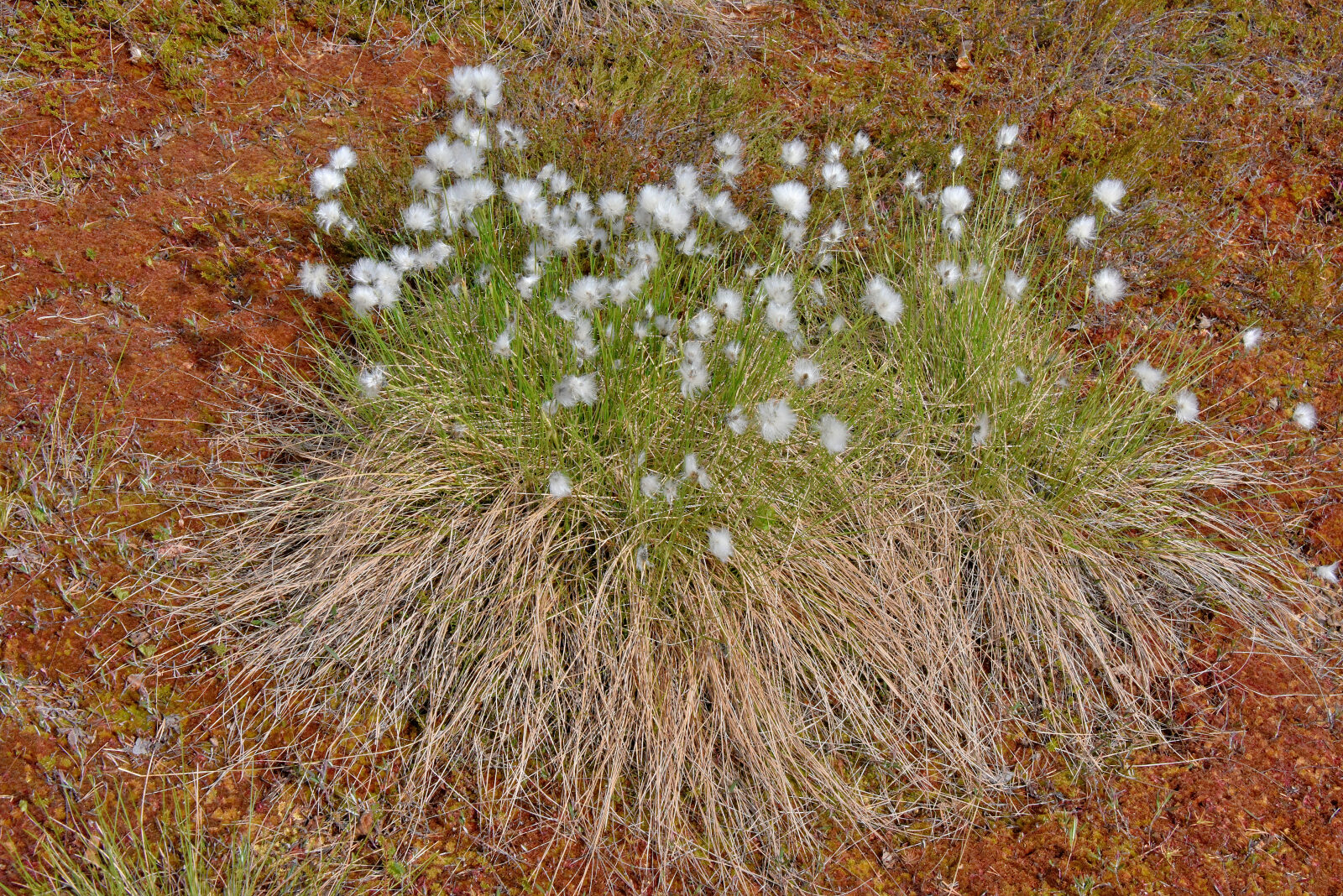Valokuvaaja: Reijo Juurinen