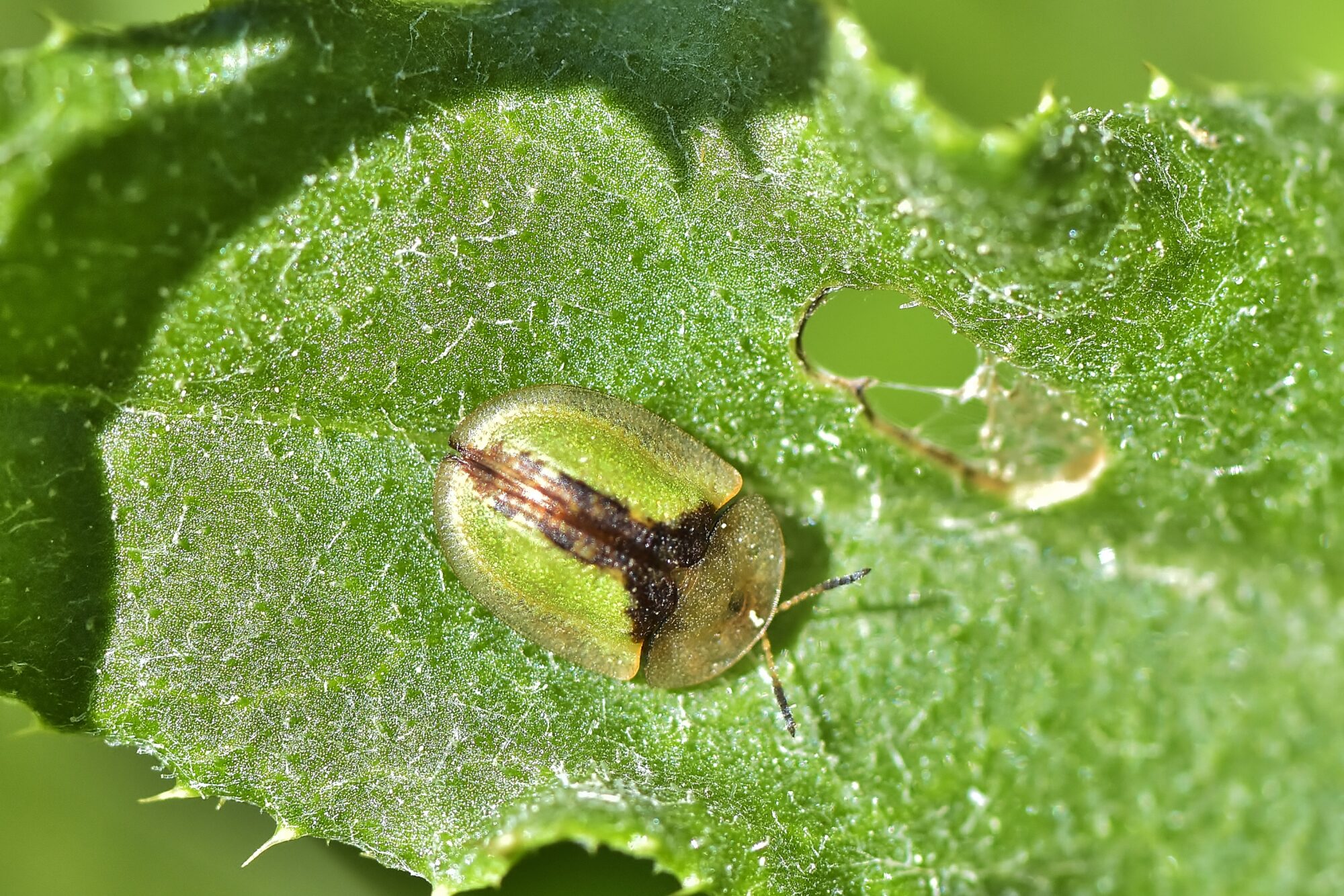 Valokuvaaja: Markku Pelkonen