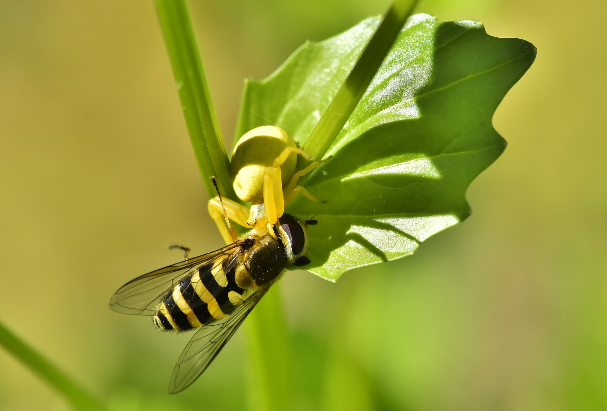 Valokuvaaja: Markku Pelkonen