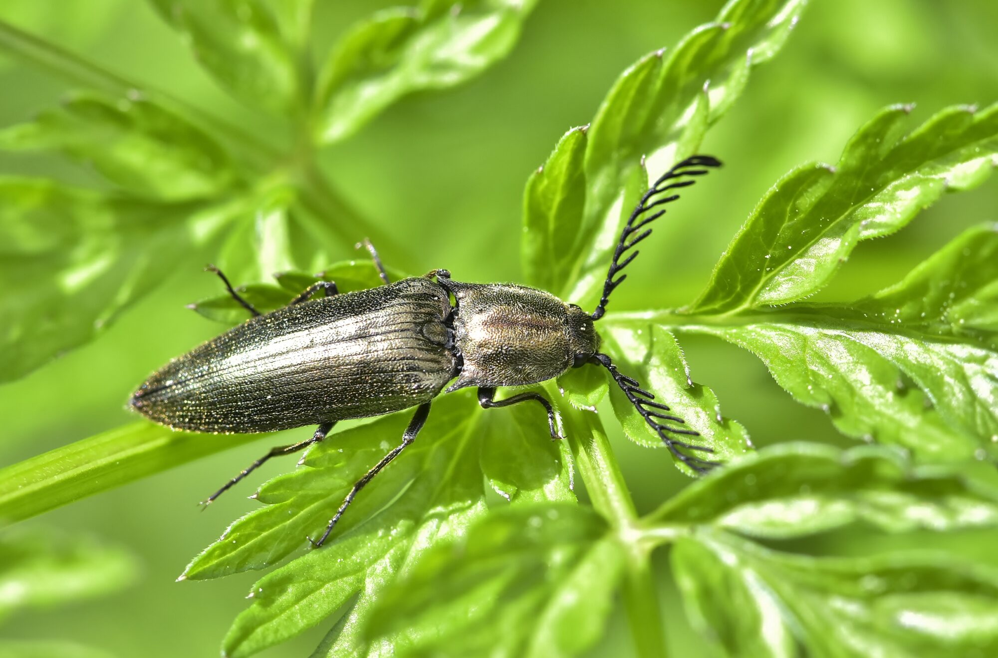 Valokuvaaja: Markku Pelkonen