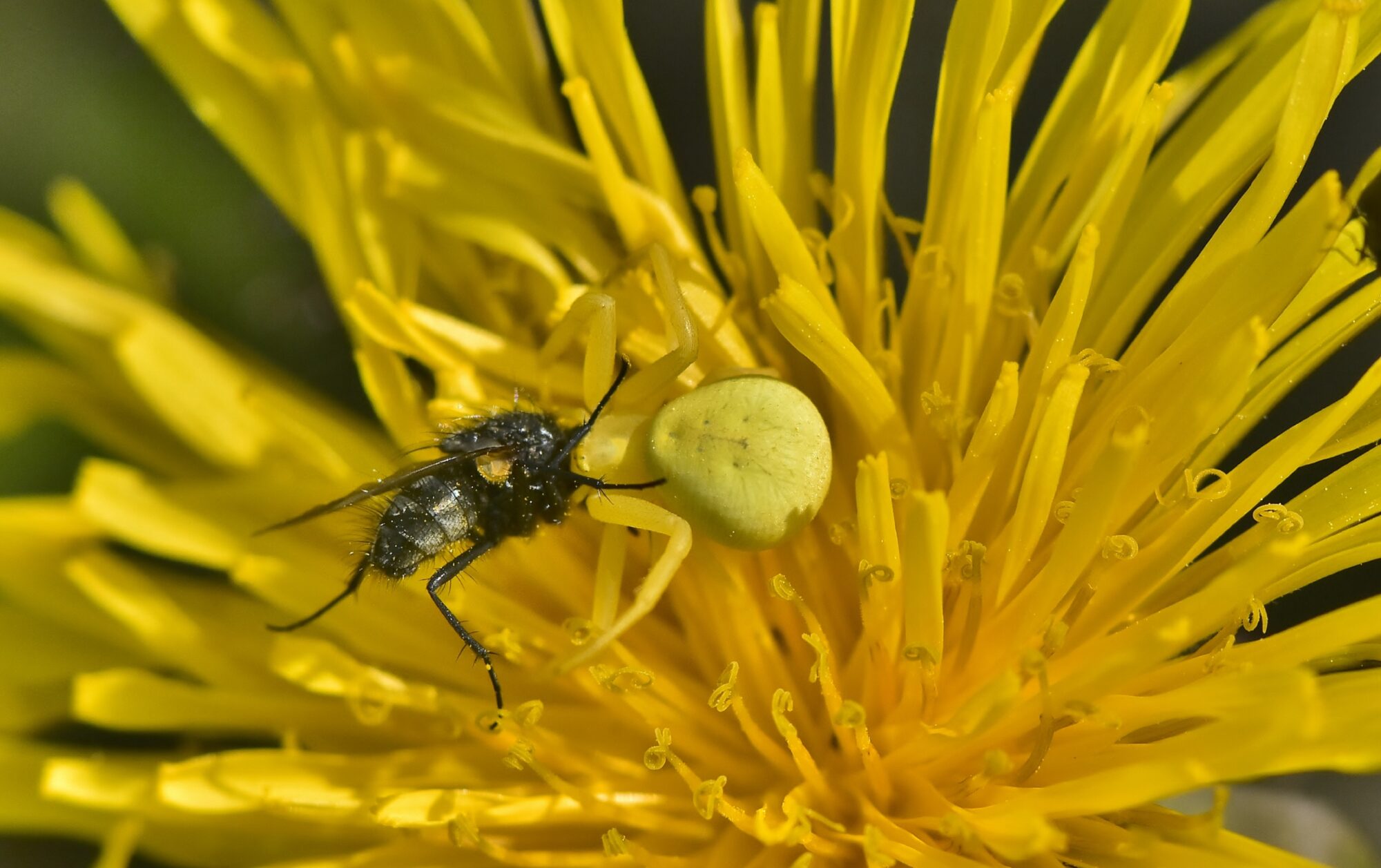 Valokuvaaja: Markku Pelkonen