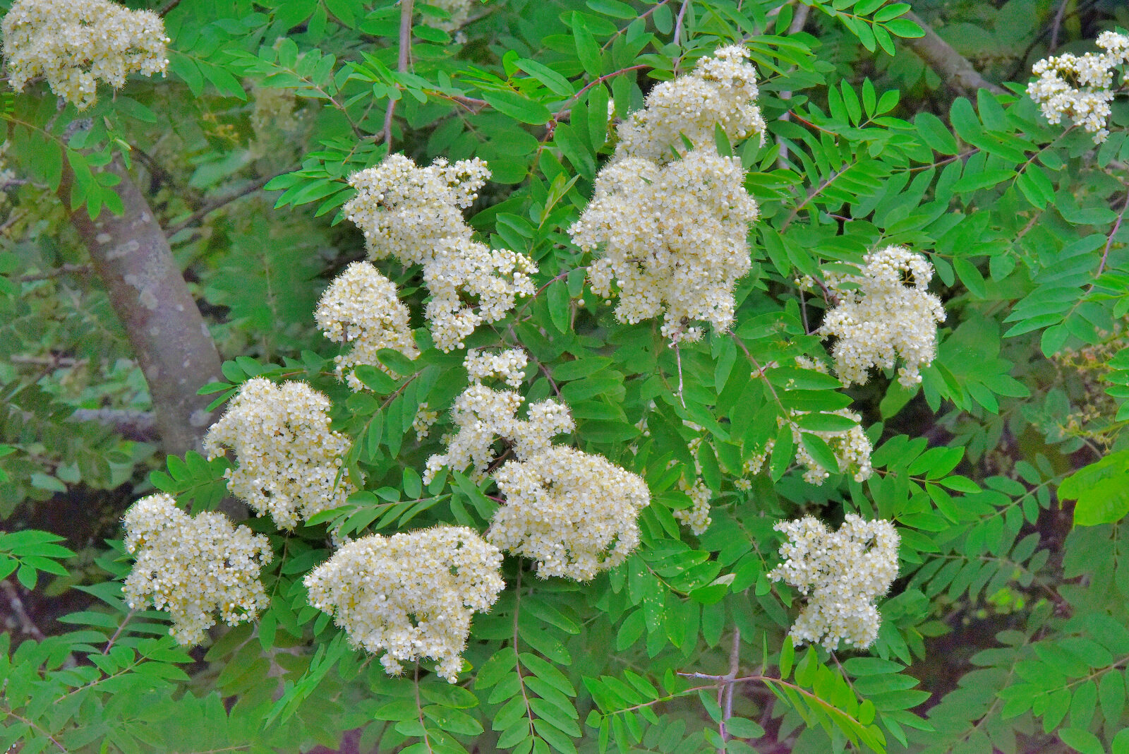 Valokuvaaja: Reijo Juurinen