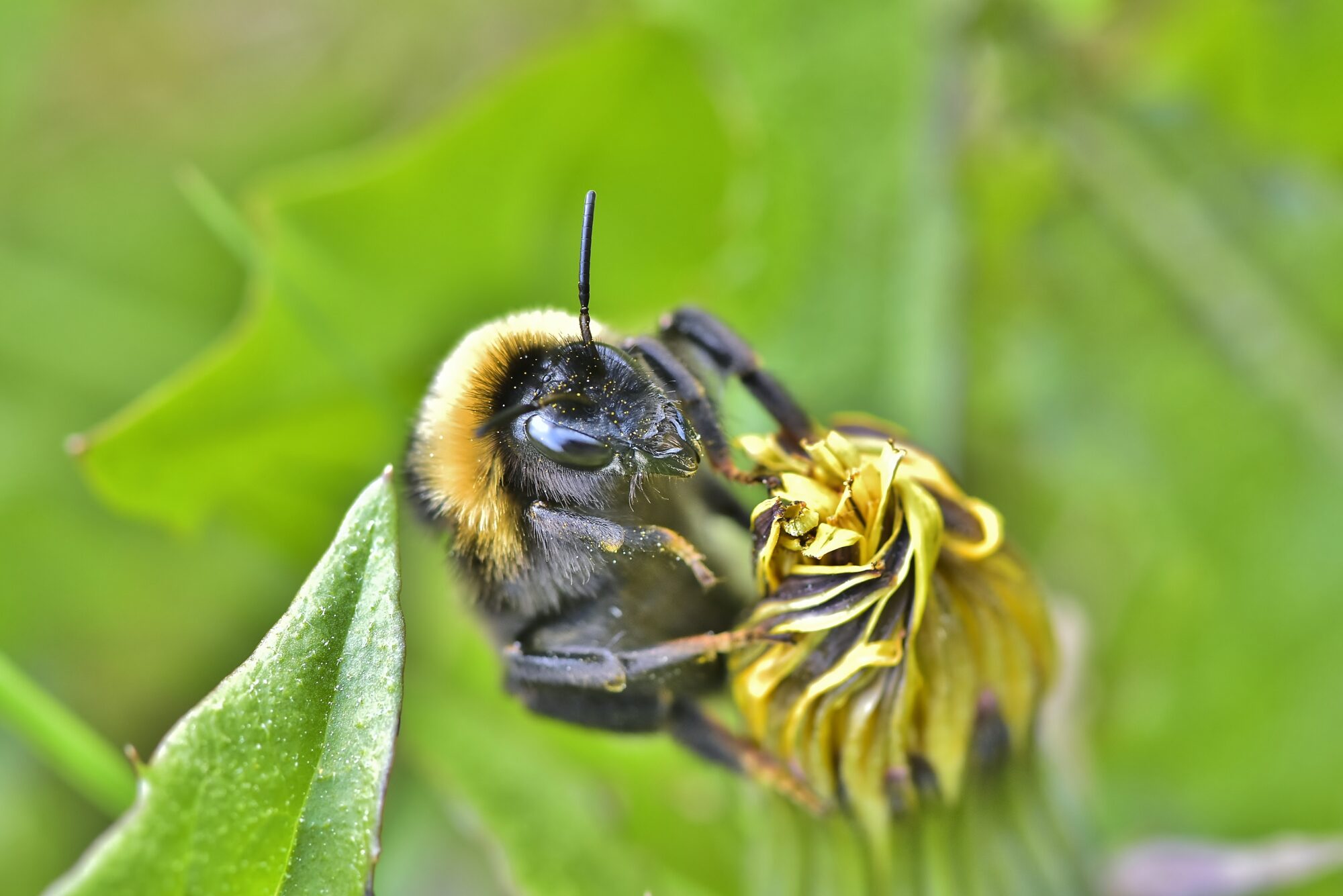 Valokuvaaja: Markku Pelkonen