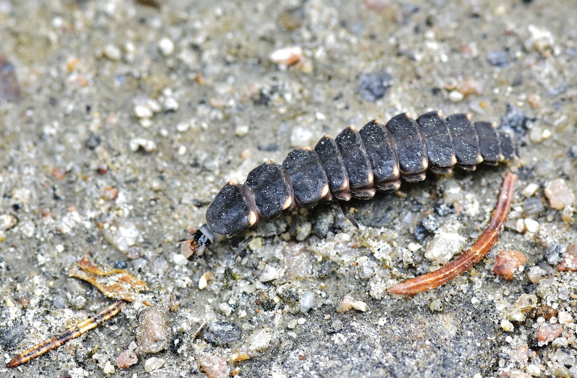 Valokuvaaja: Markku Pelkonen