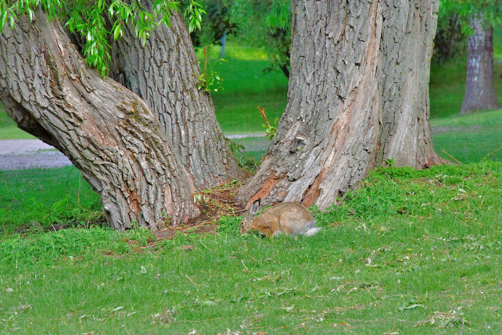 Valokuvaaja: Reijo Juurinen