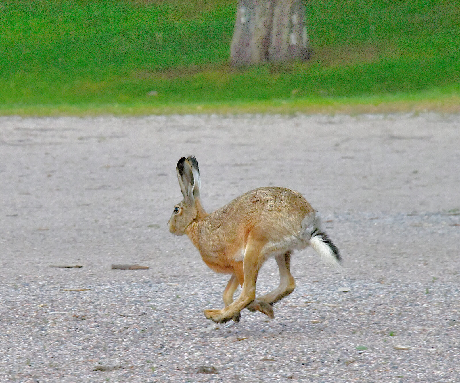 Valokuvaaja: Reijo Juurinen