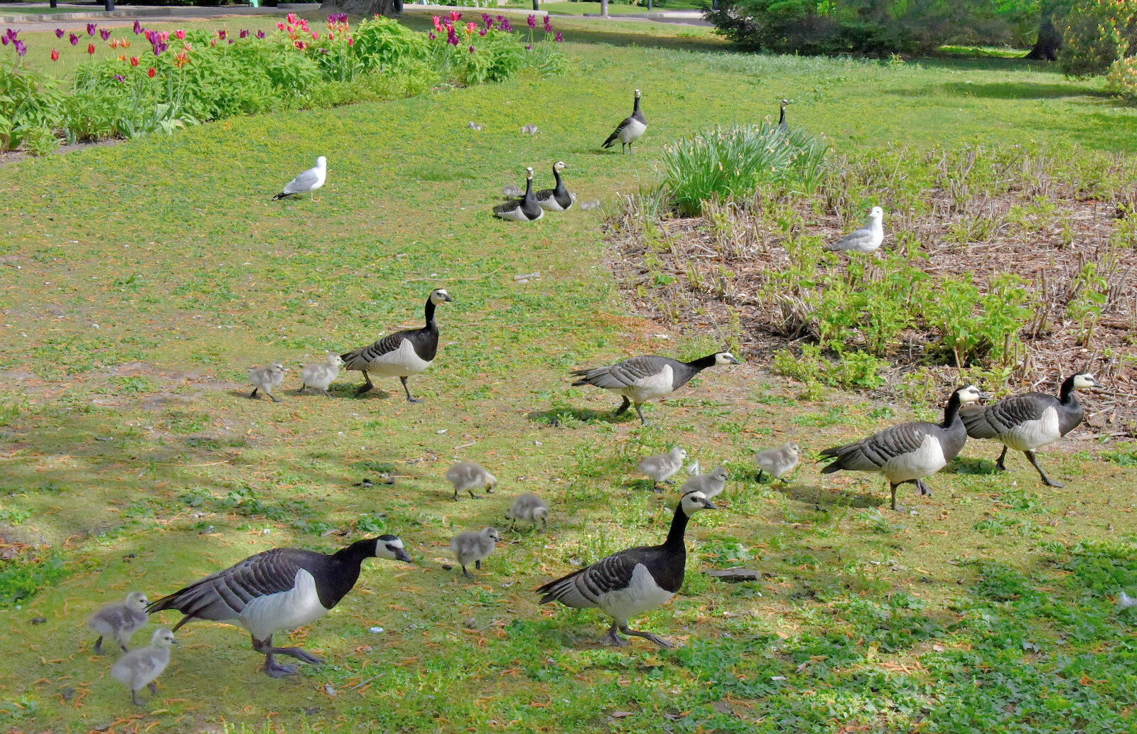 Valokuvaaja: Reijo Juurinen