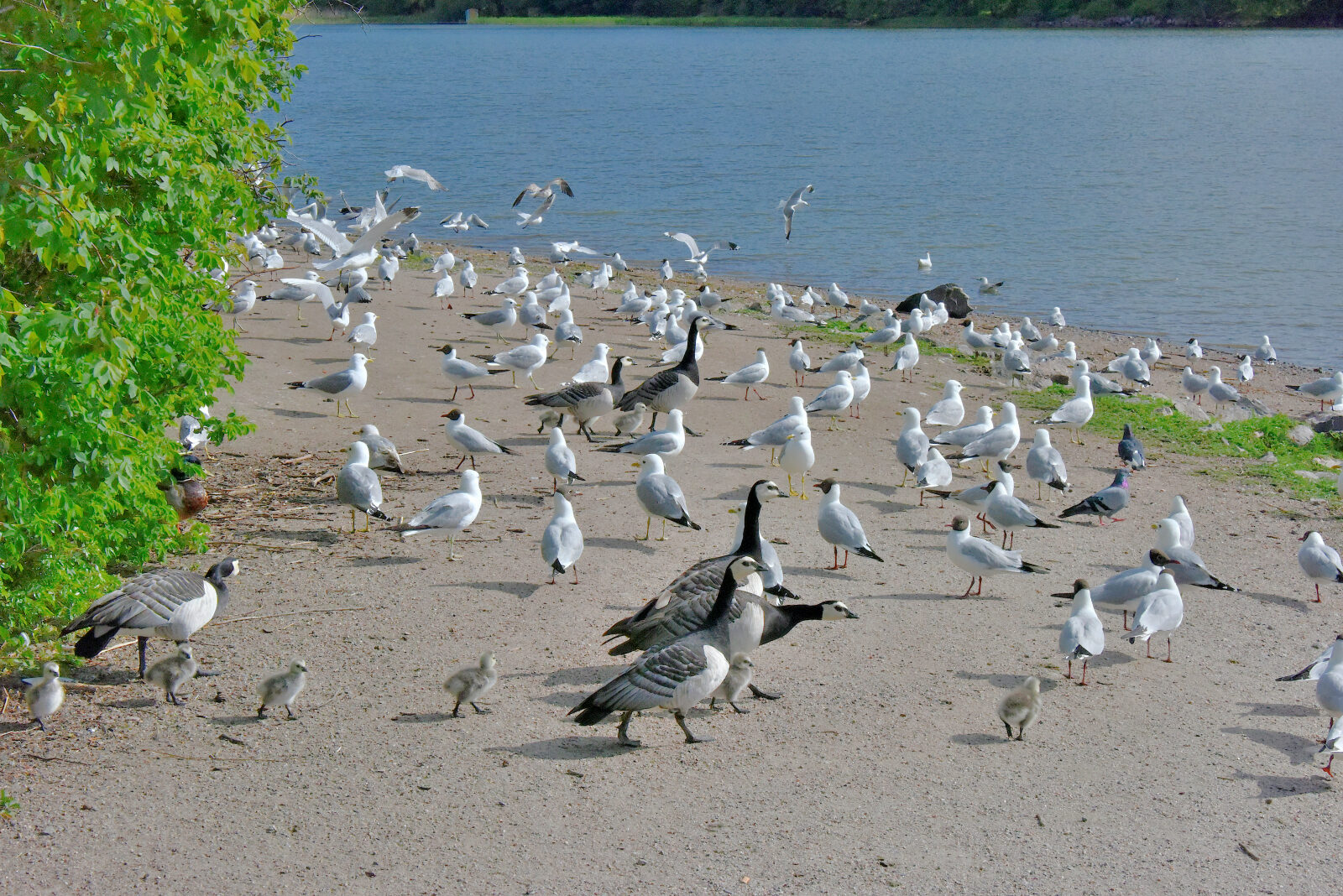 Valokuvaaja: Reijo Juurinen