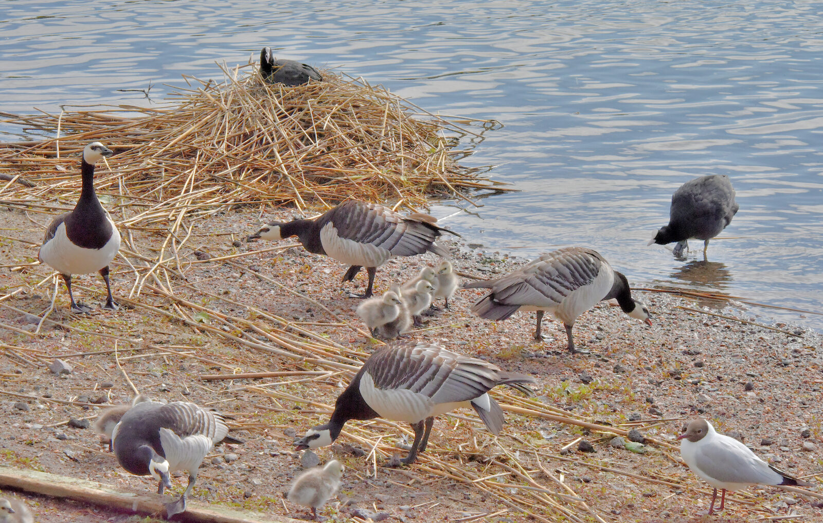 Valokuvaaja: Reijo Juurinen