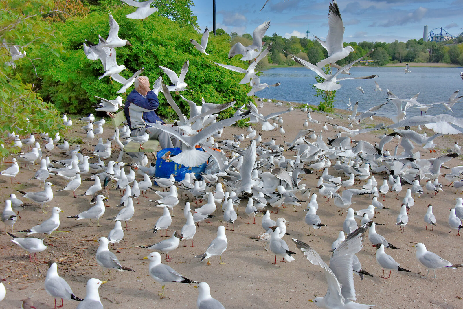 Valokuvaaja: Reijo Juurinen