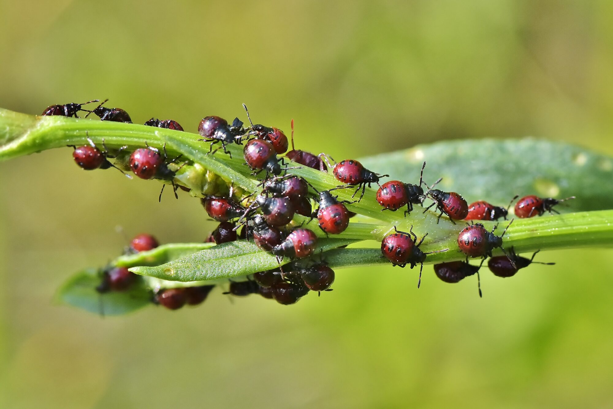 Valokuvaaja: Markku Pelkonen