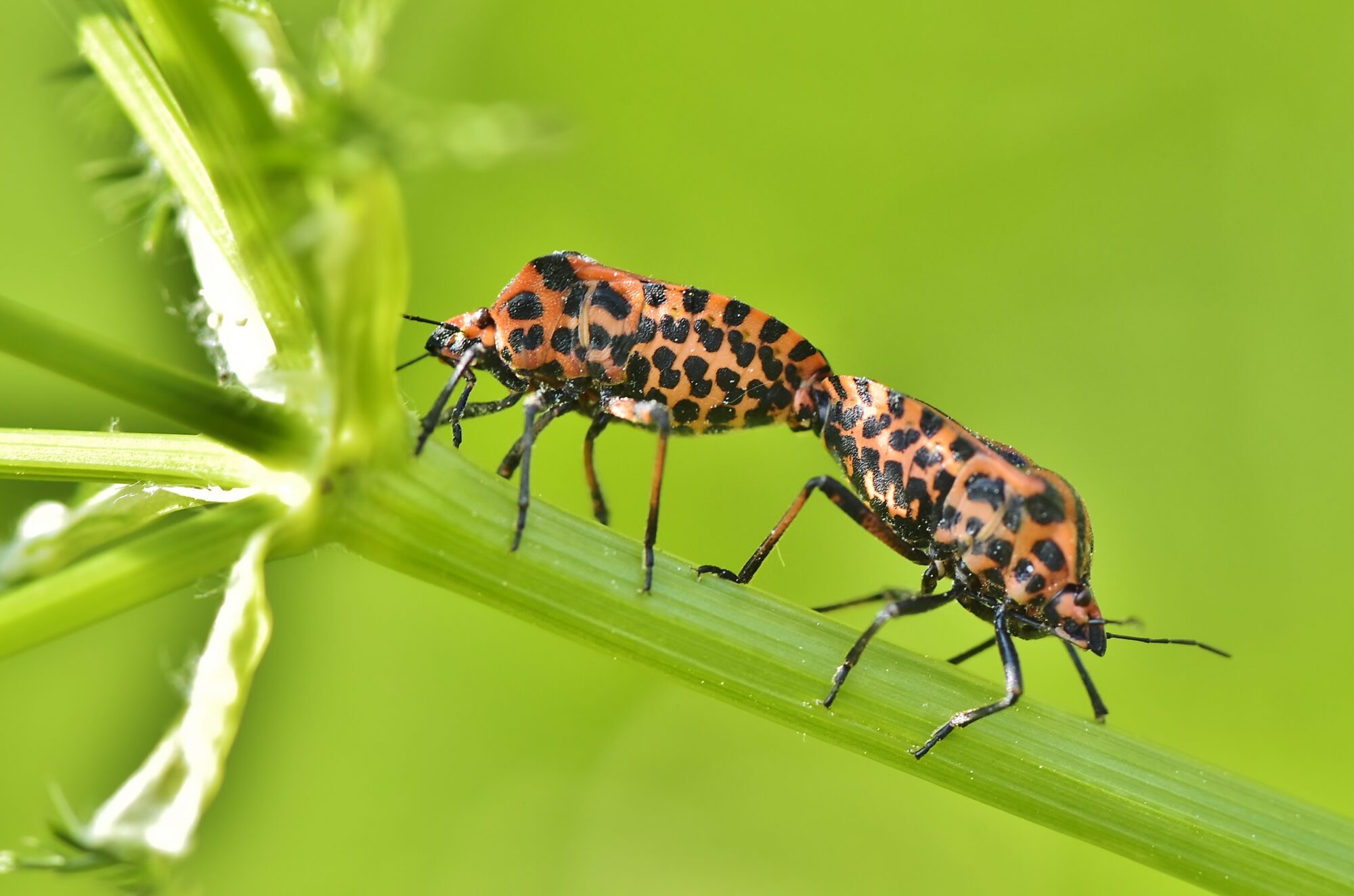 Valokuvaaja: Markku Pelkonen