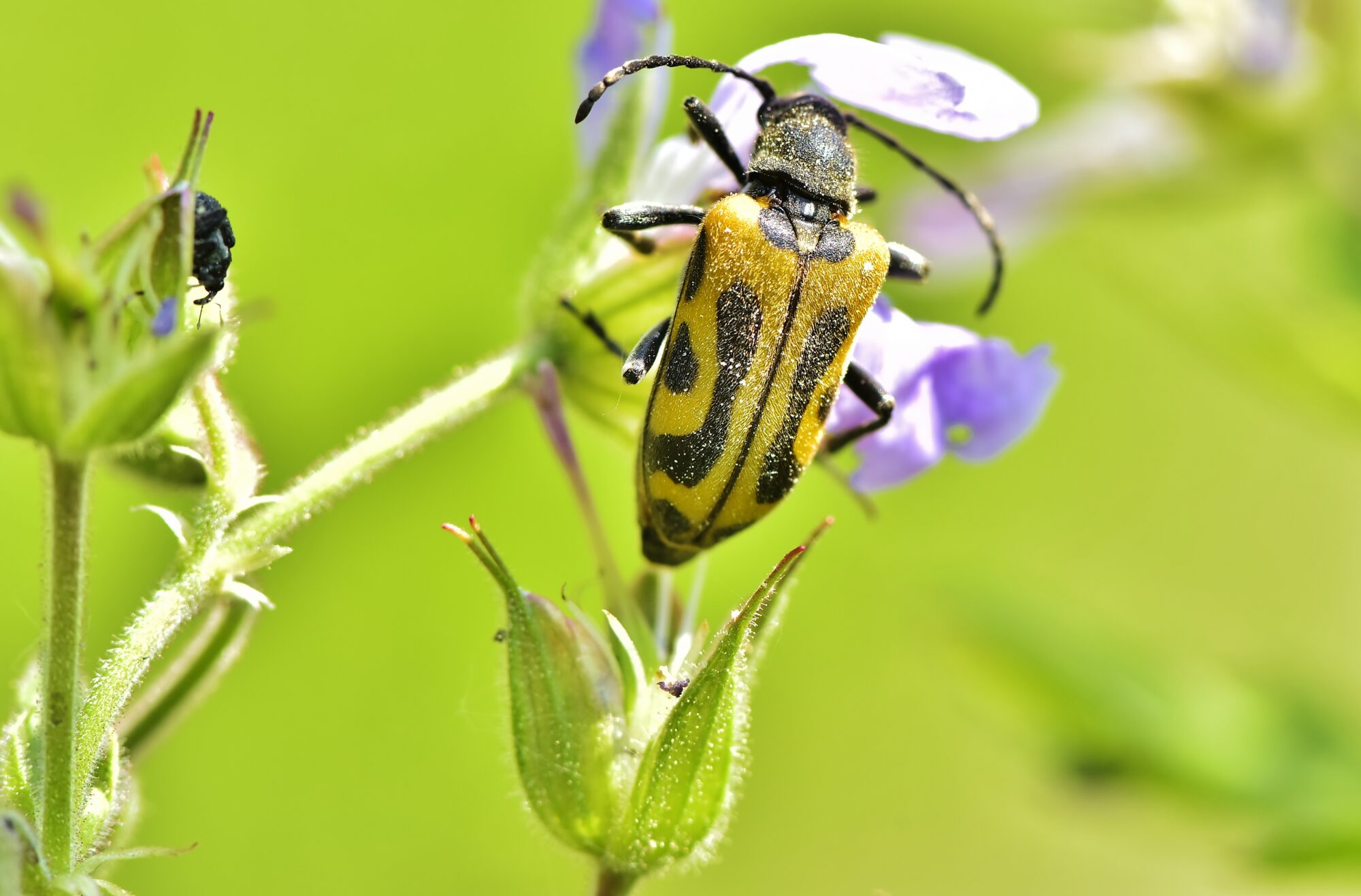 Valokuvaaja: Markku Pelkonen