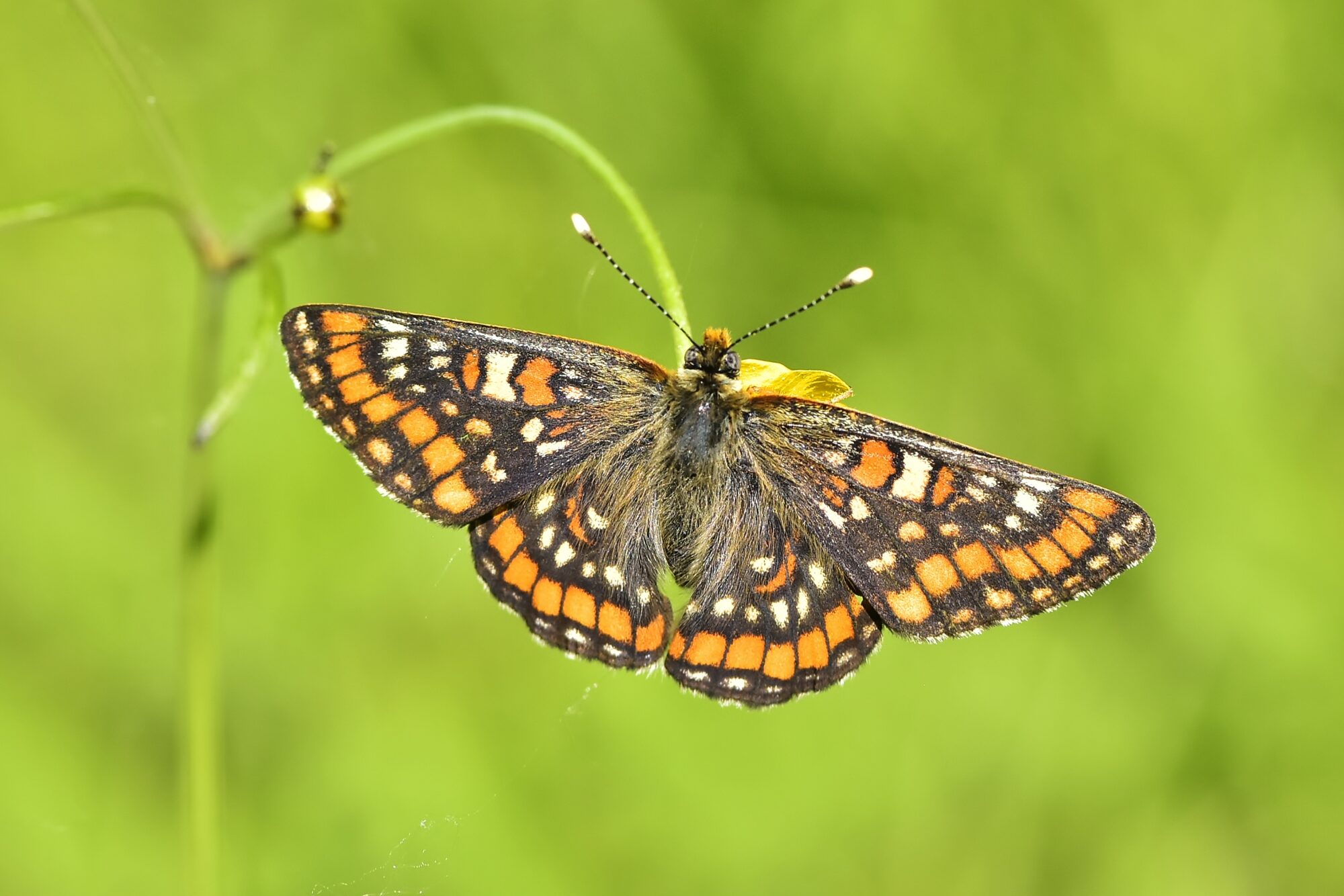 Valokuvaaja: Markku Pelkonen
