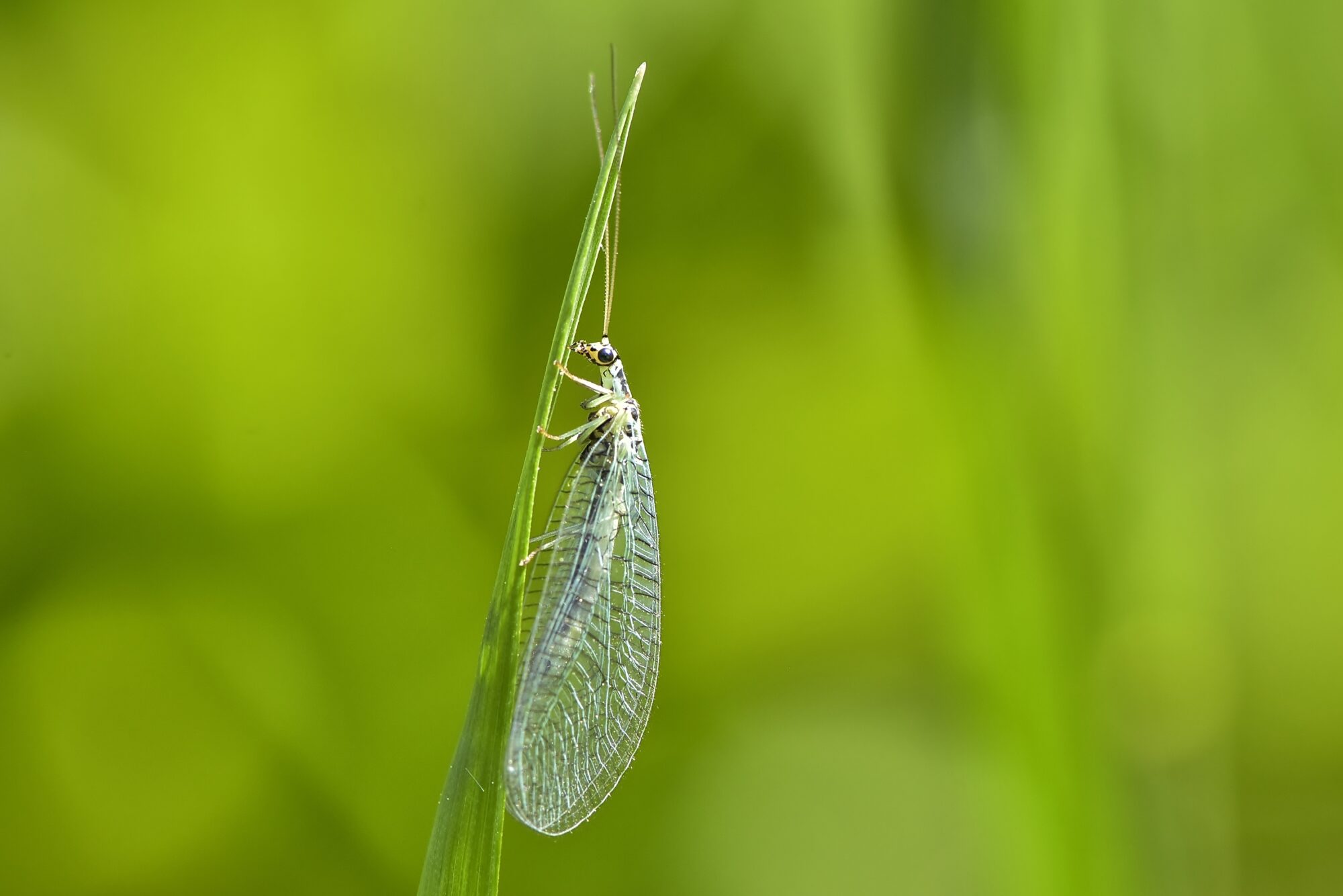 Valokuvaaja: Markku Pelkonen