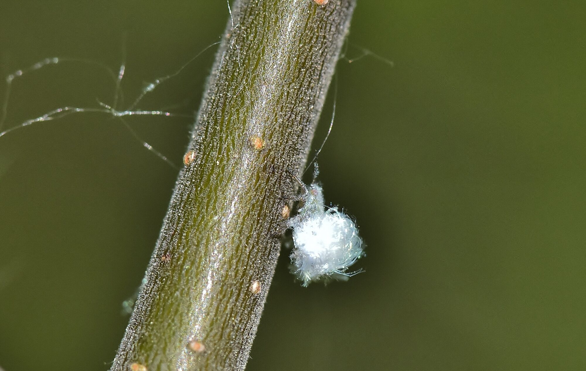 Valokuvaaja: Markku Pelkonen