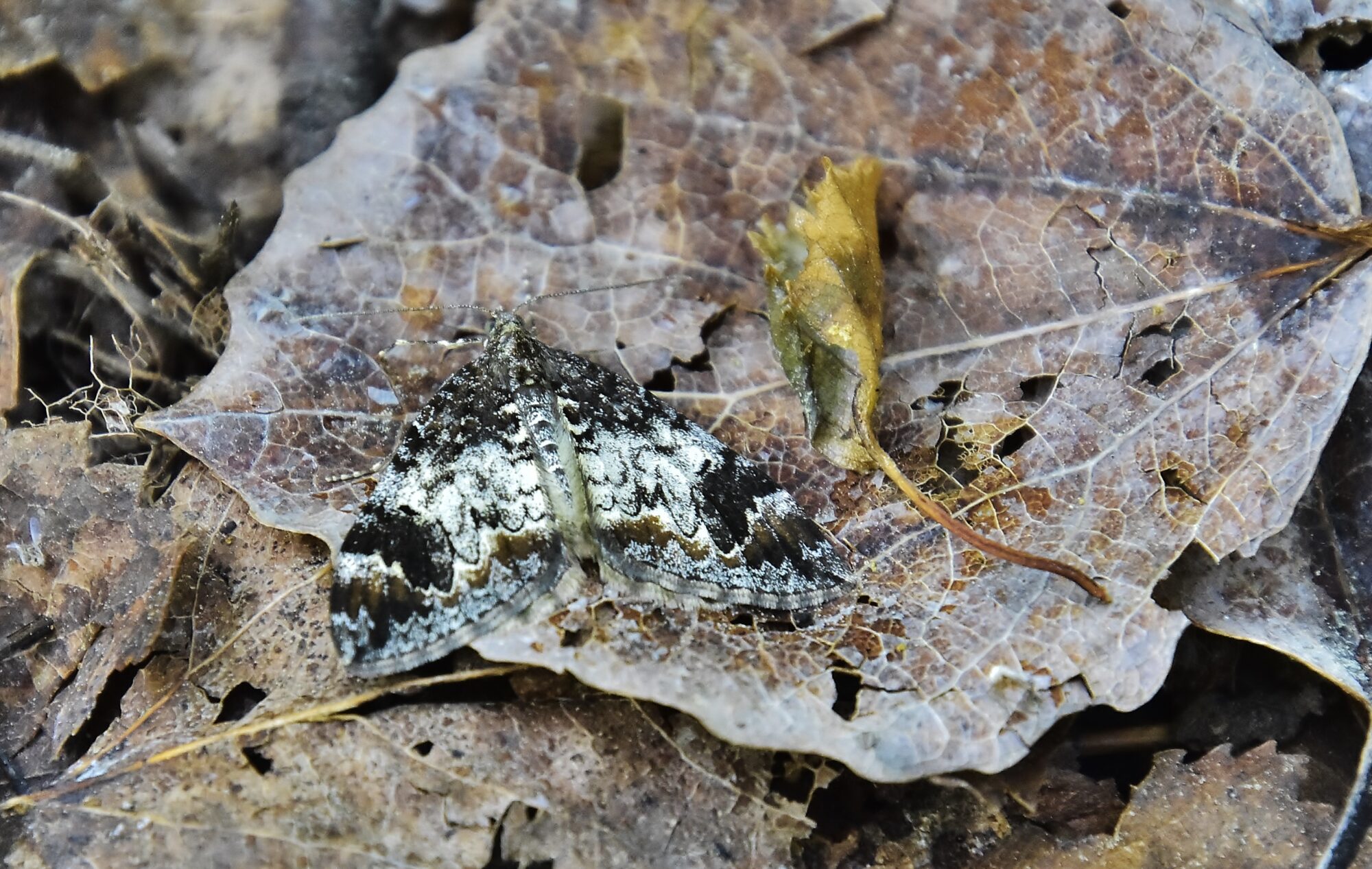 Valokuvaaja: Markku Pelkonen