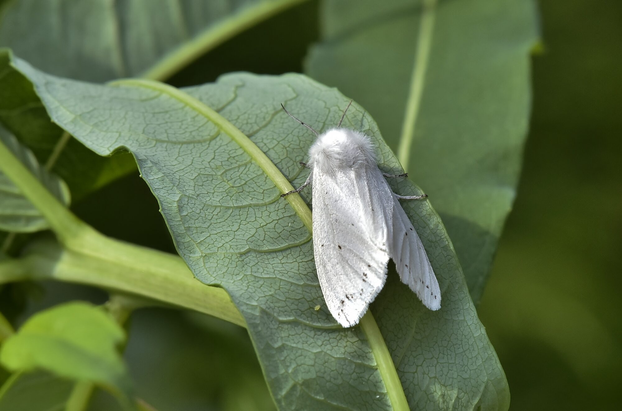 Valokuvaaja: Markku Pelkonen