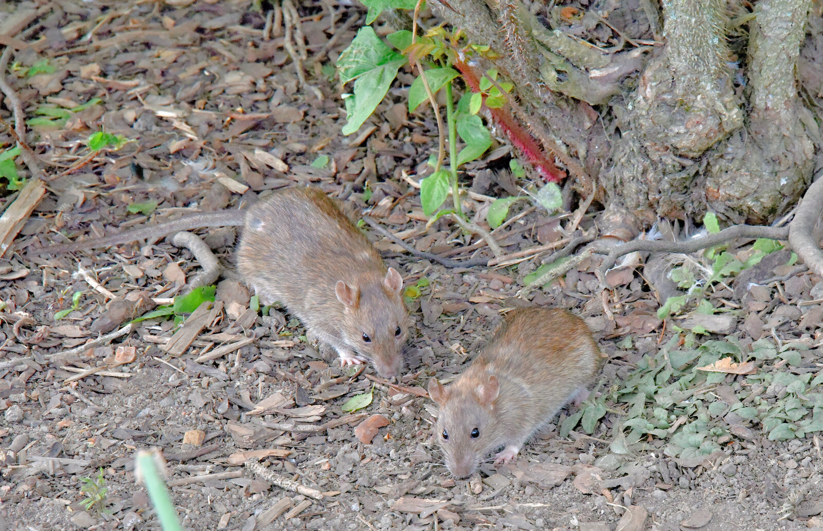 Valokuvaaja: Reijo Juurinen