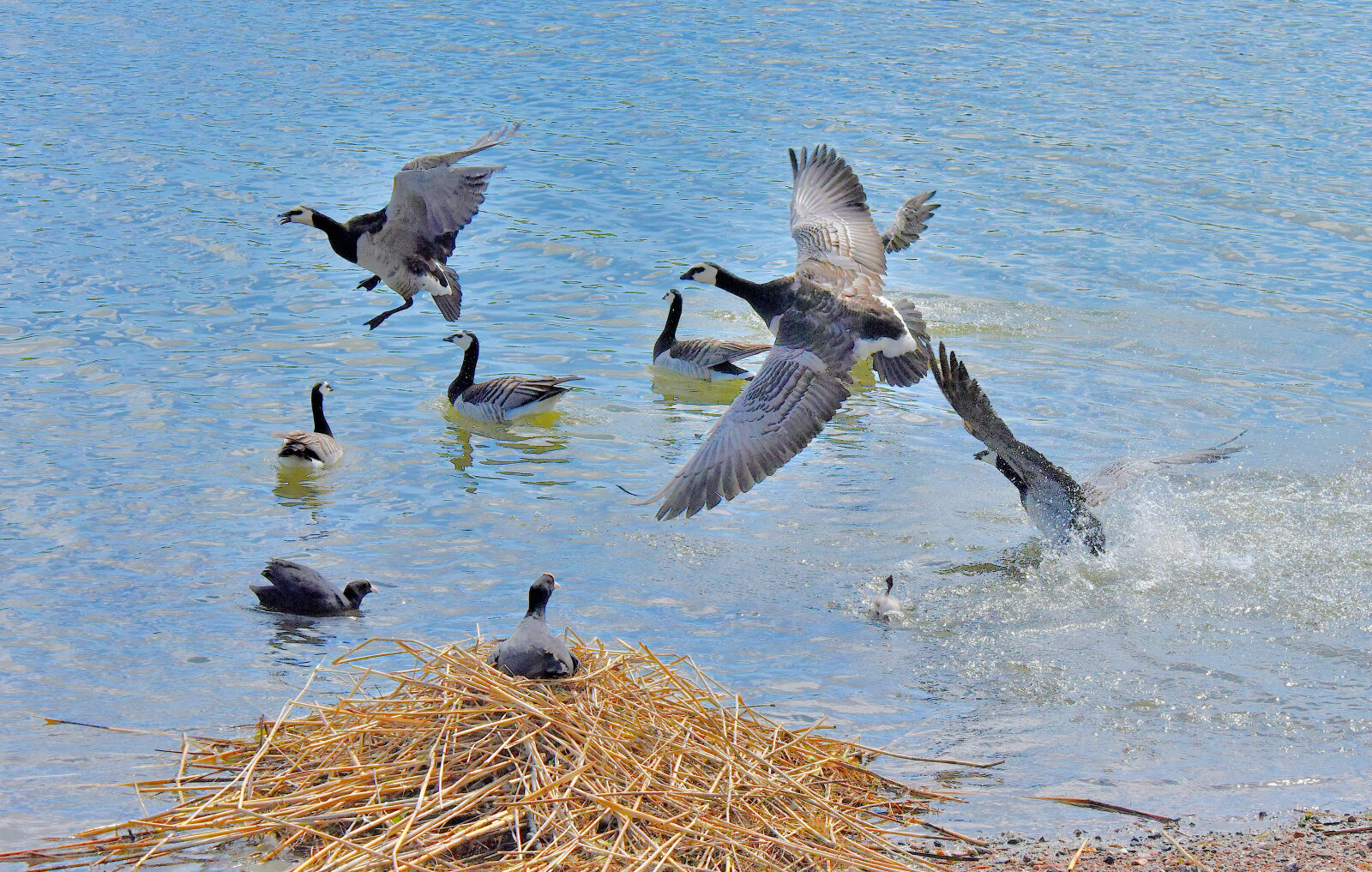 Valokuvaaja: Reijo Juurinen