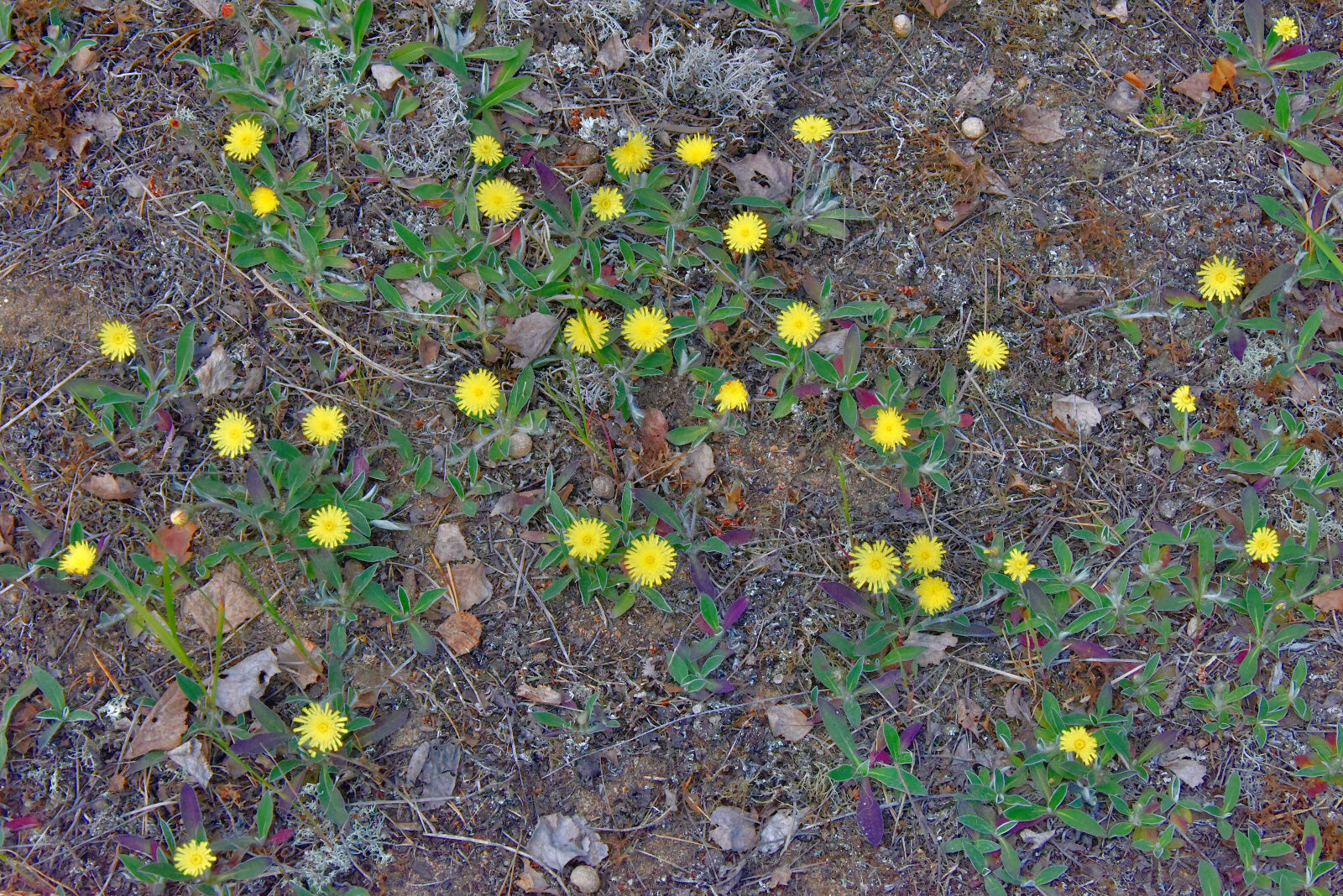 Valokuvaaja: Reijo Juurinen