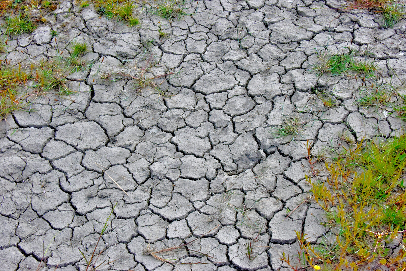 Valokuvaaja: Reijo Juurinen