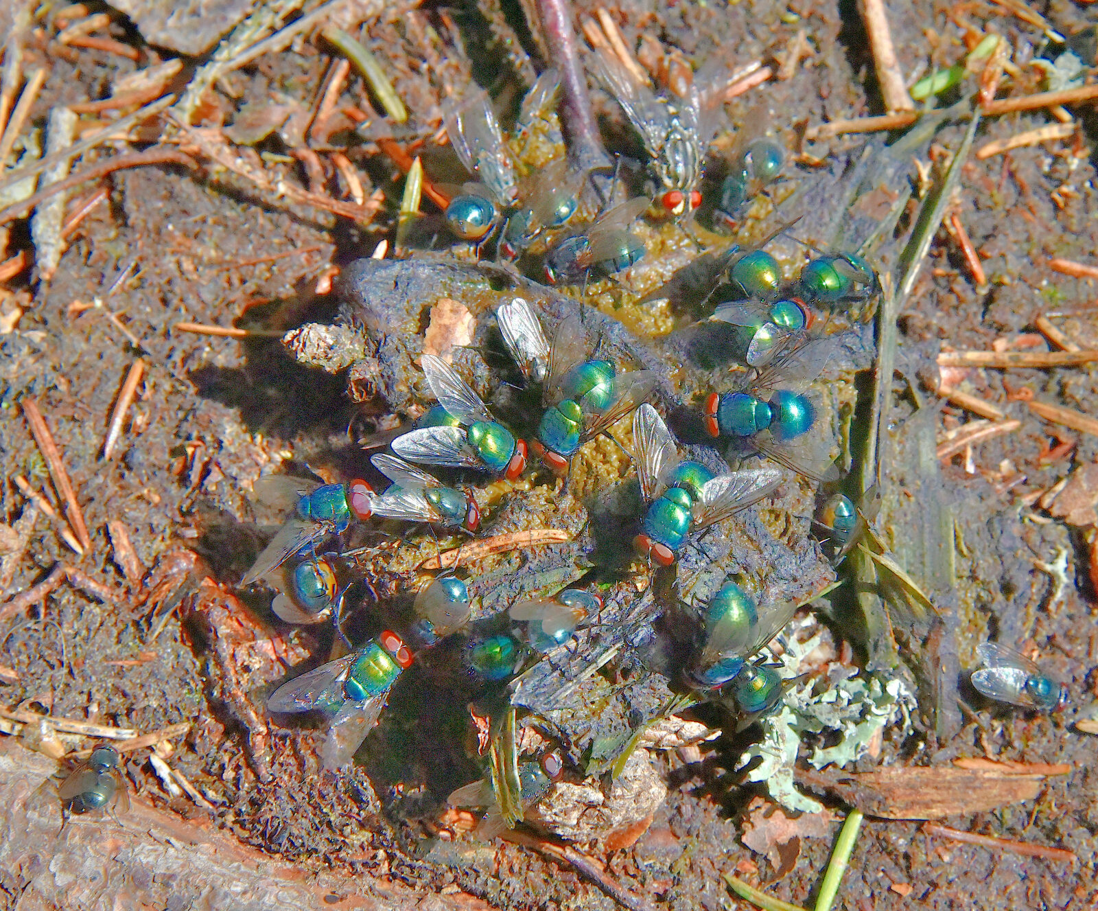 Valokuvaaja: Reijo Juurinen