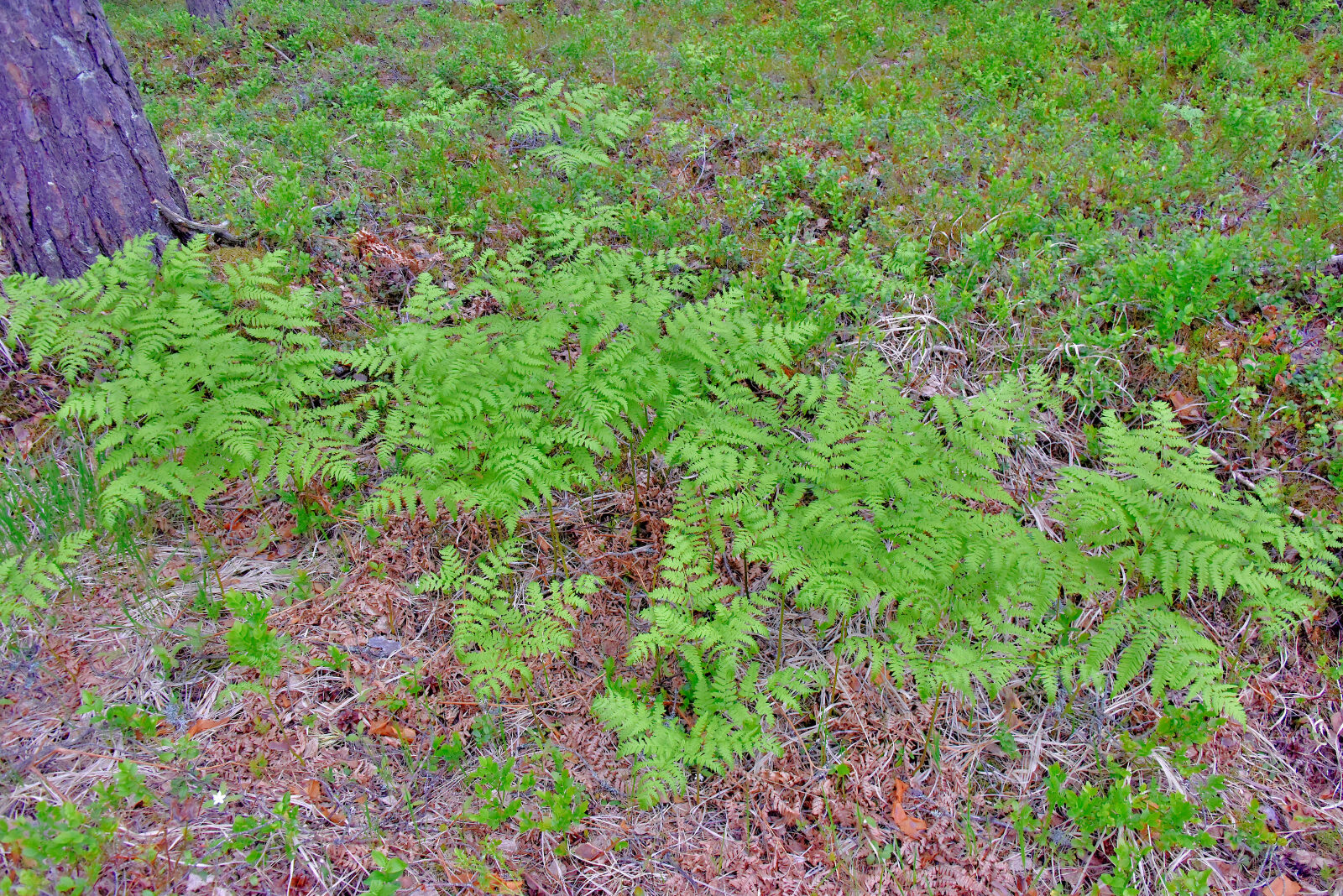 Valokuvaaja: Reijo Juurinen