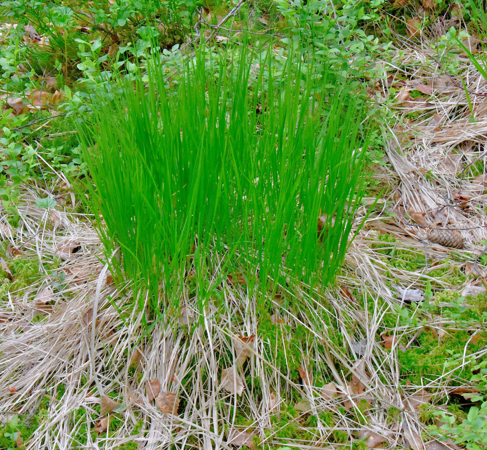 Valokuvaaja: Reijo Juurinen