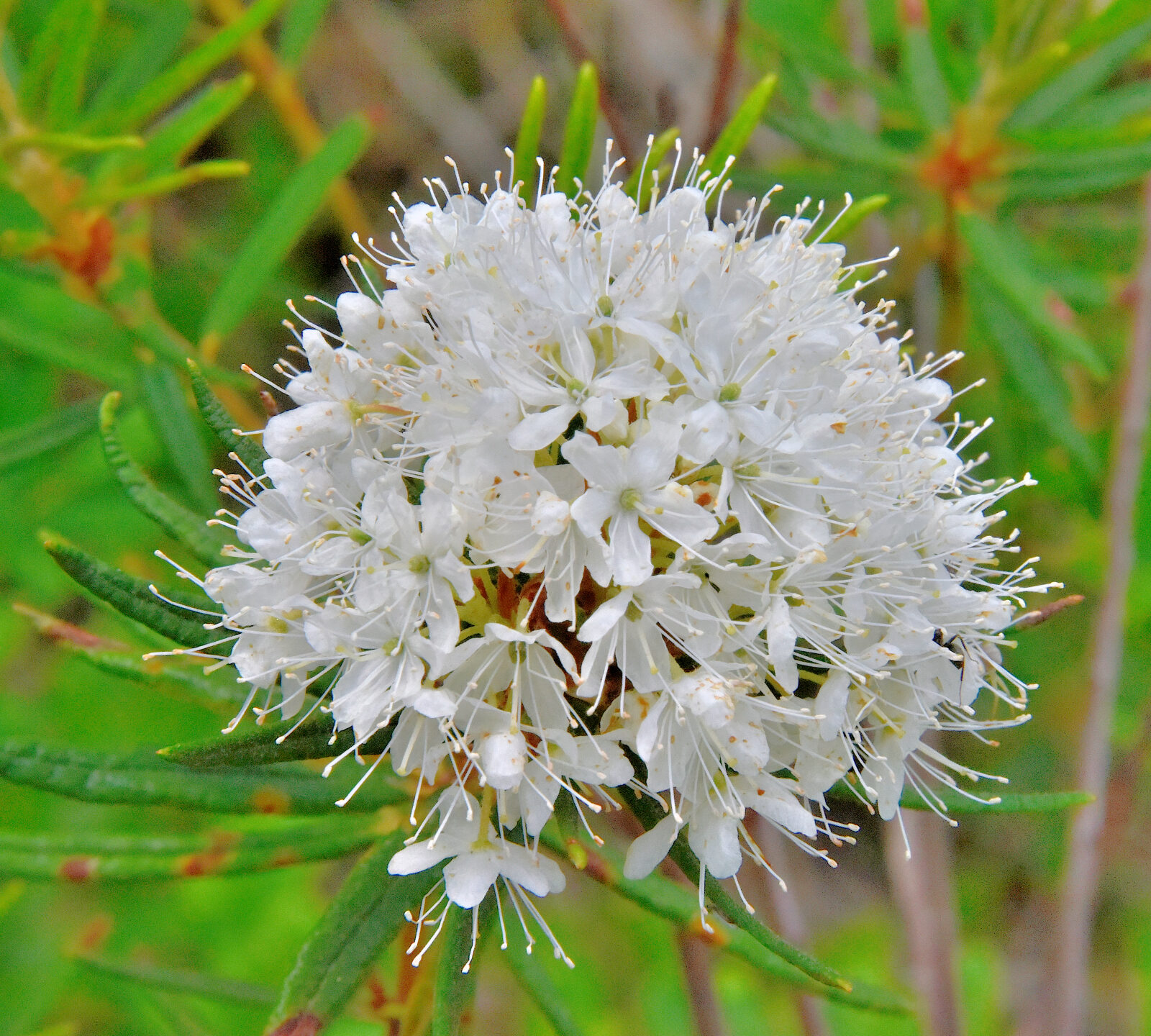 Valokuvaaja: Reijo Juurinen Valokuvaaja: Reijo Juurinen