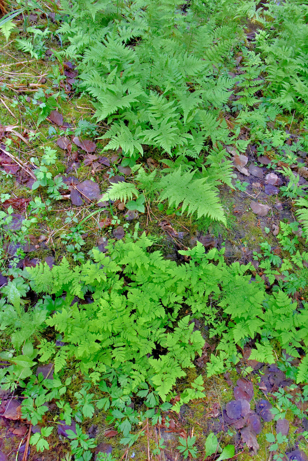 Valokuvaaja: Reijo Juurinen