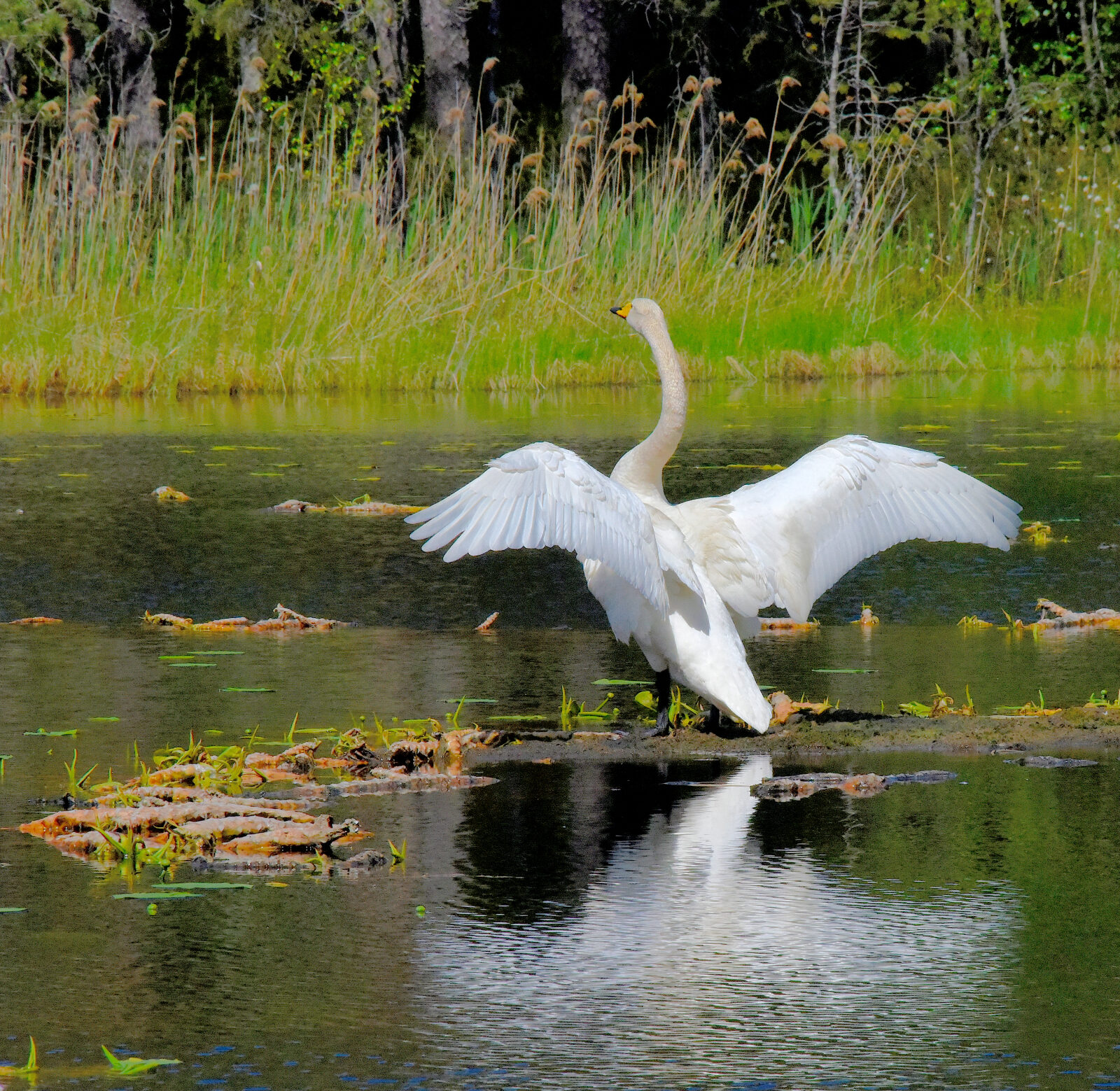 Valokuvaaja: Reijo Juurinen