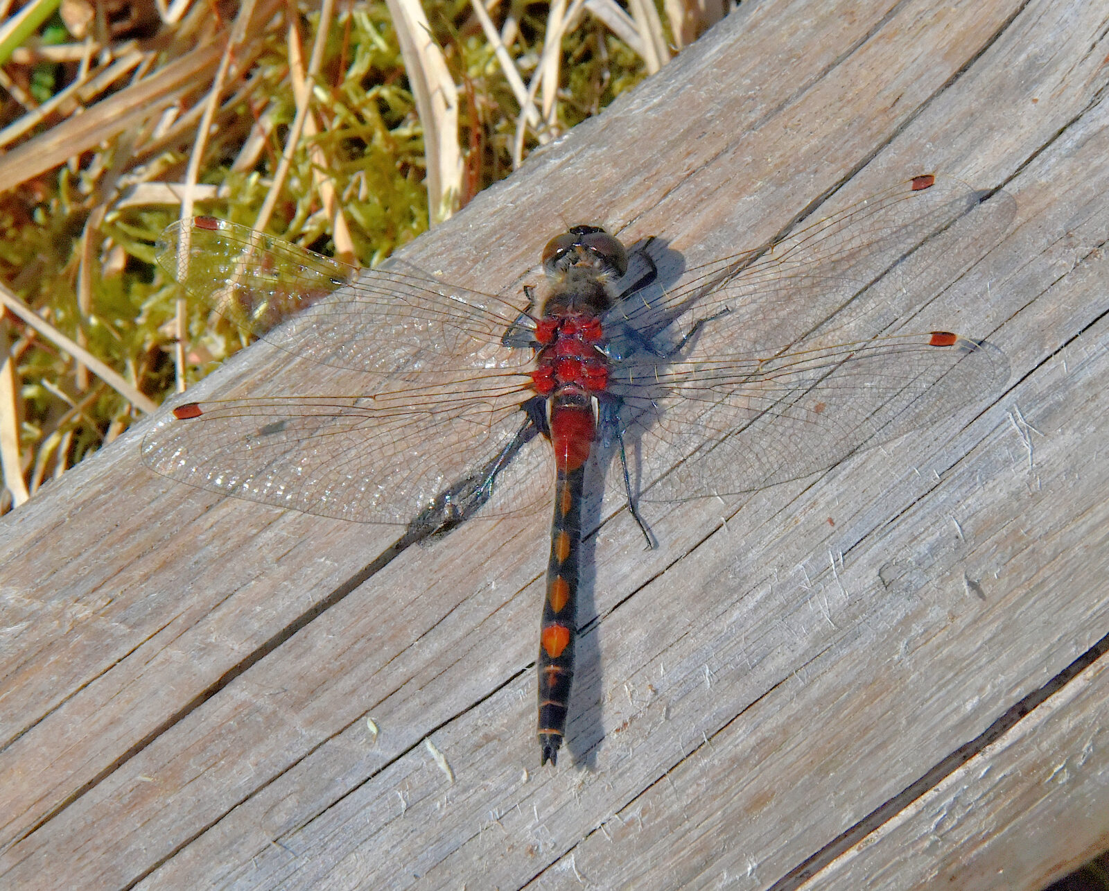 Valokuvaaja: Reijo Juurinen