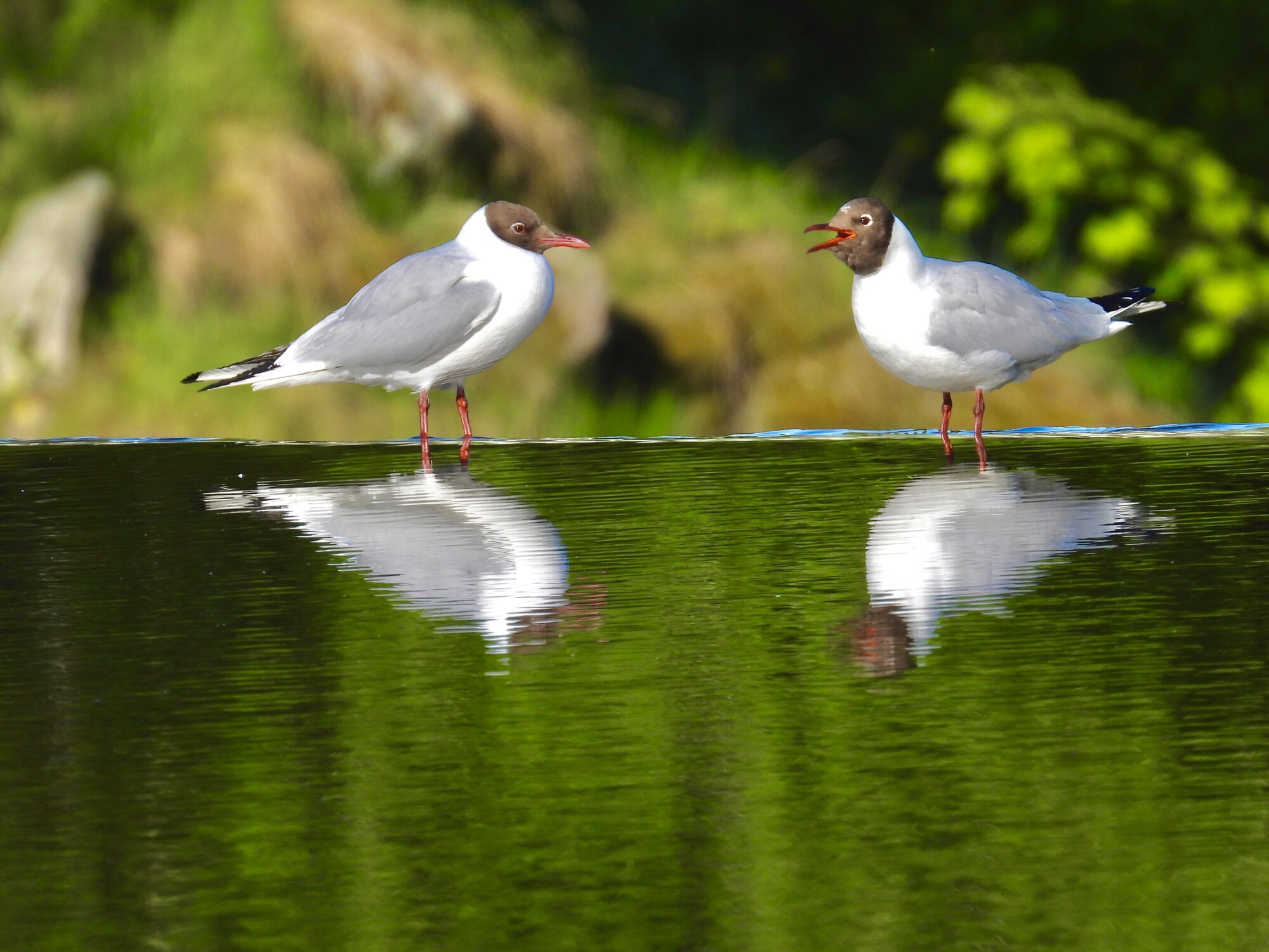 Valokuvaaja: Juhani Peltonen