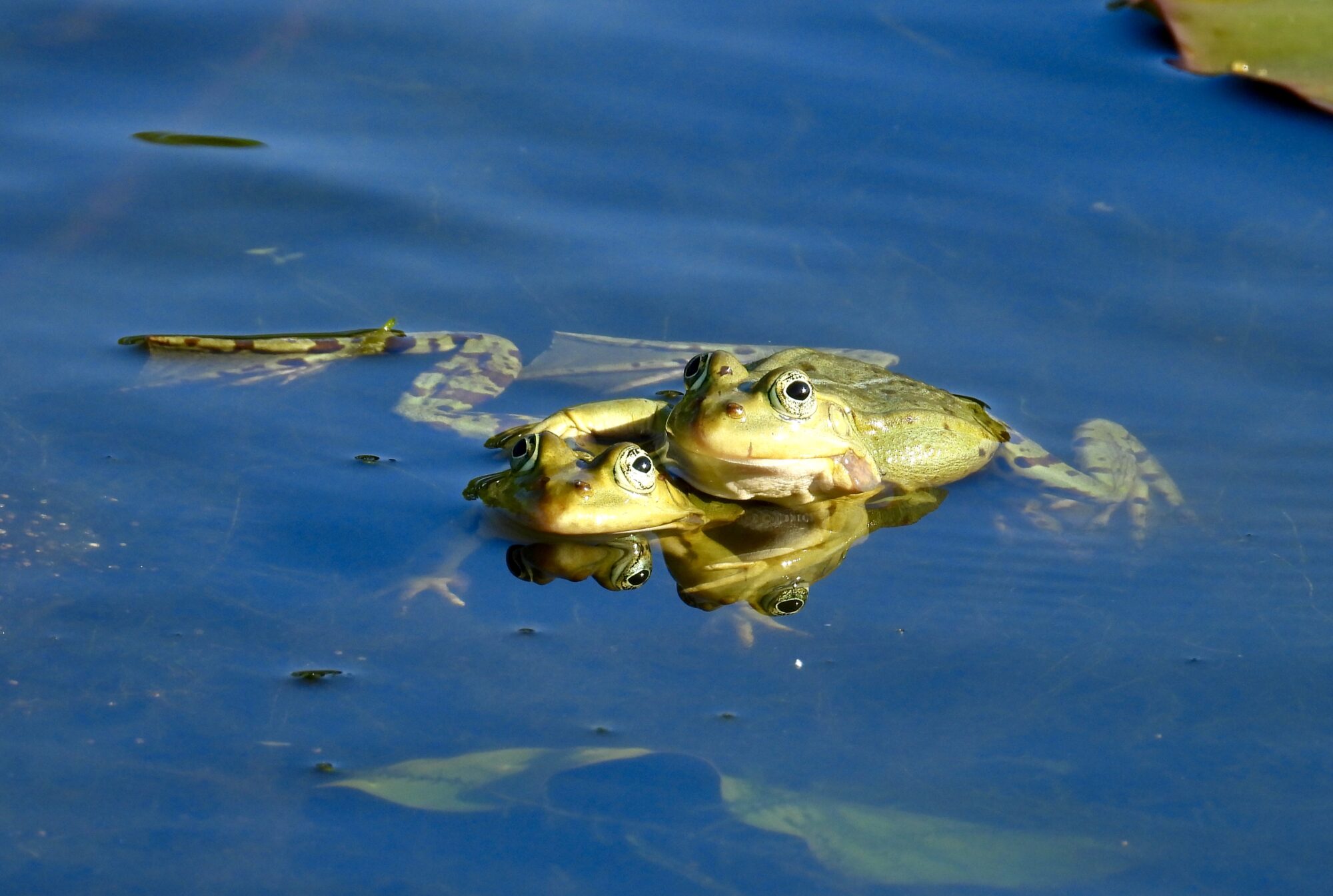 Valokuvaaja: Juhani Peltonen
