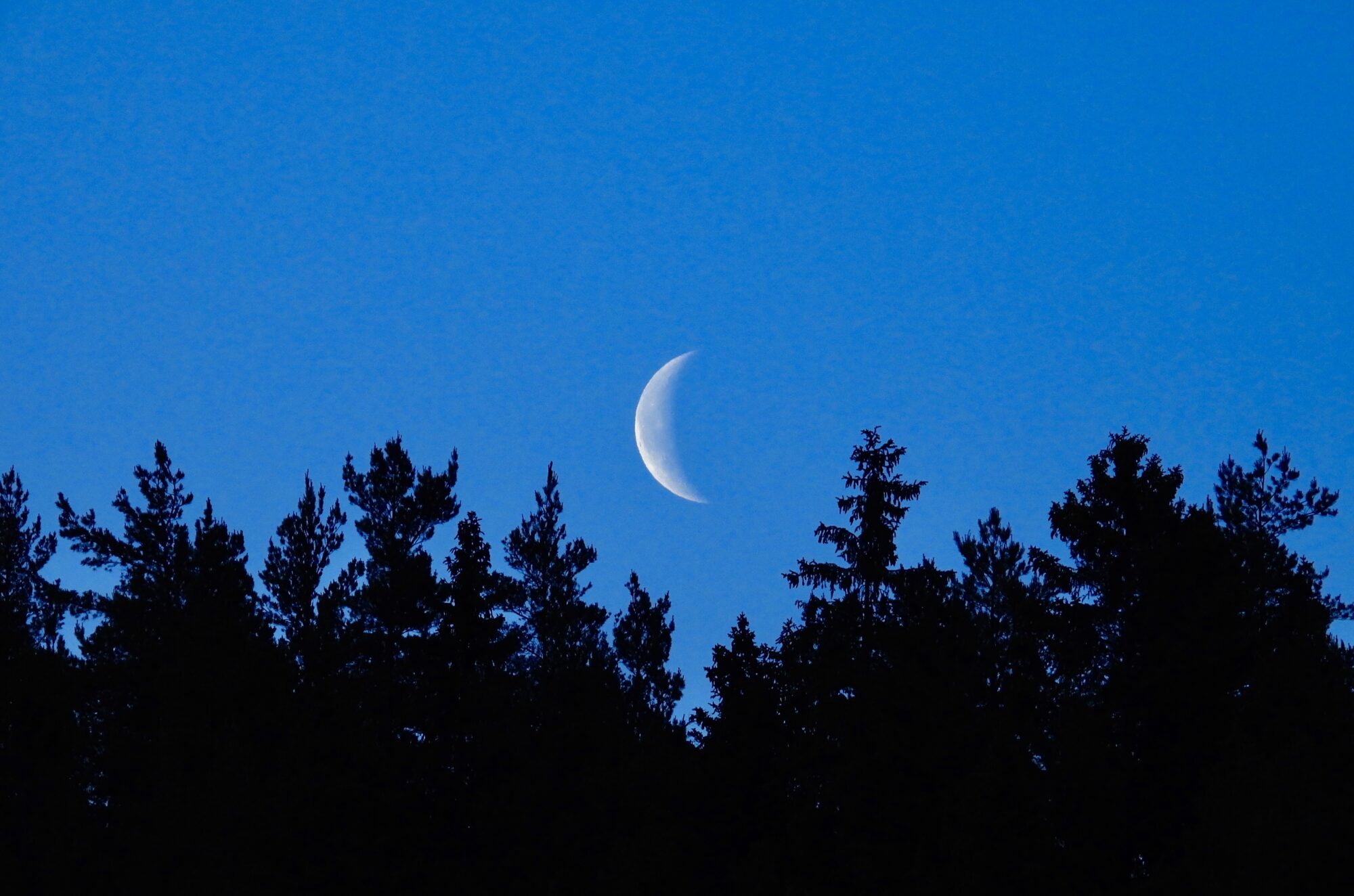 Valokuvaaja: Juhani Peltonen