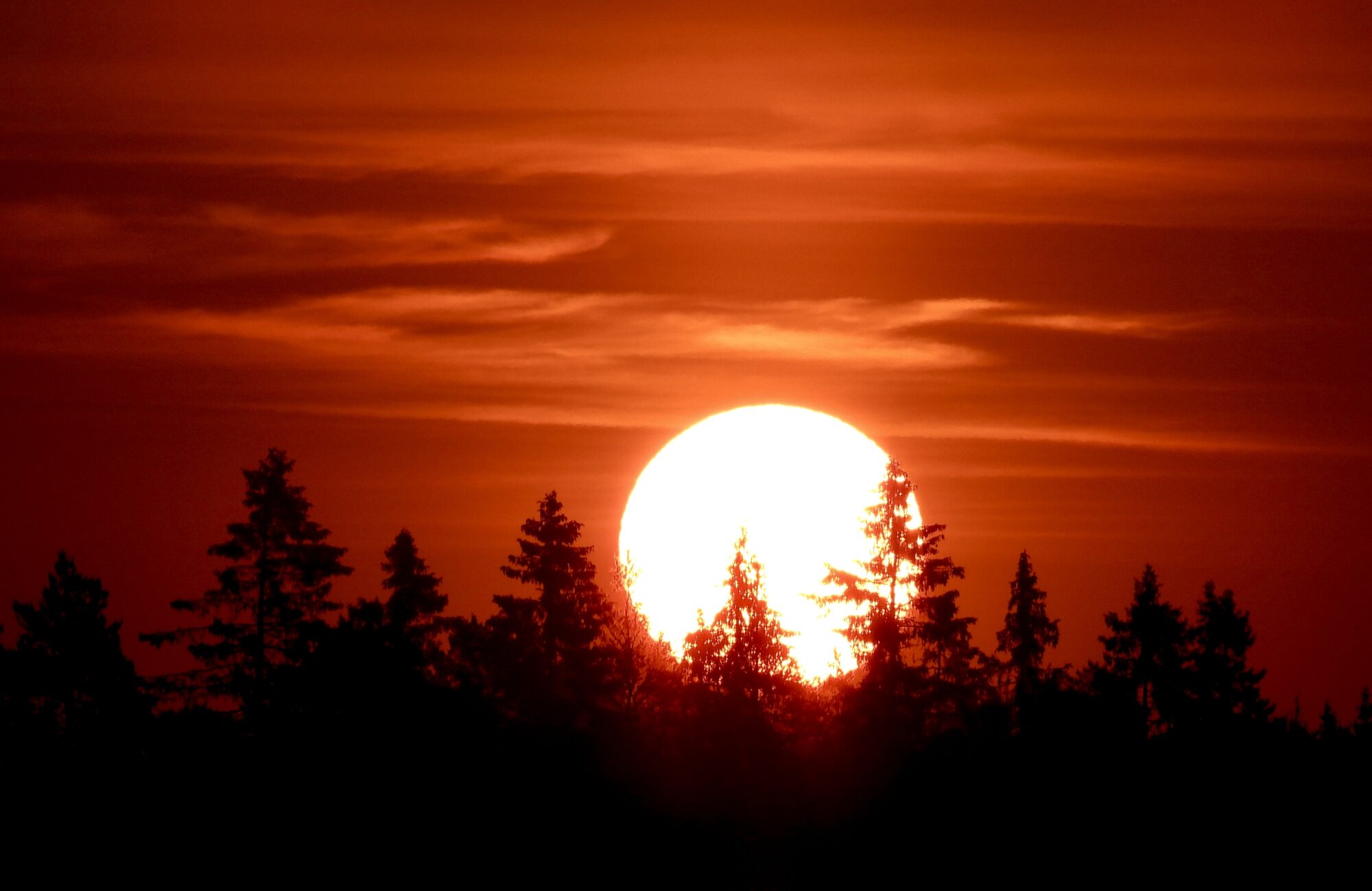 Valokuvaaja: Juhani Peltonen