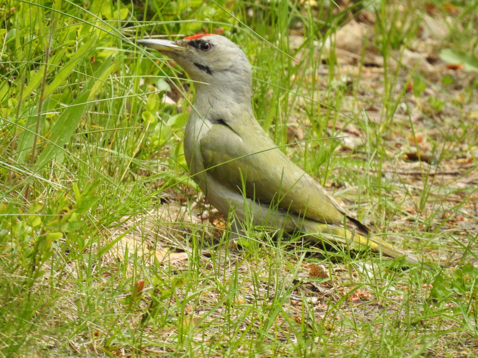 Valokuvaaja: Jarmo Mantere