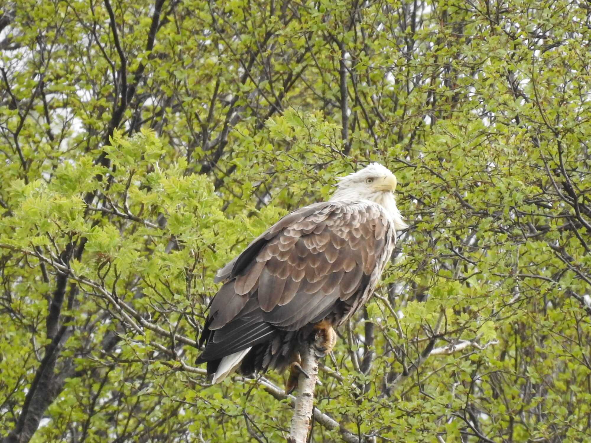 Valokuvaaja: Jarmo Mantere
