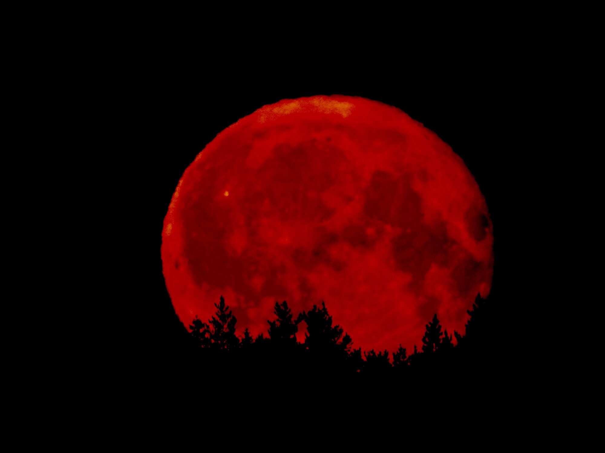 Valokuvaaja: Juhani Peltonen