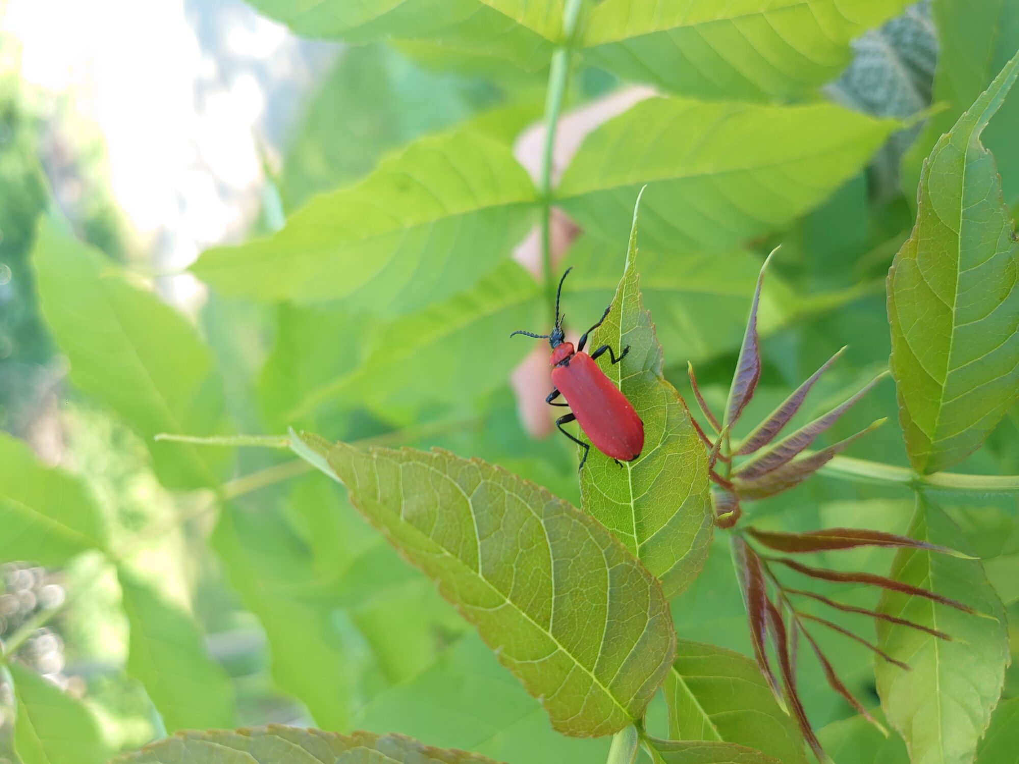 Valokuvaaja: Ville Tuominen