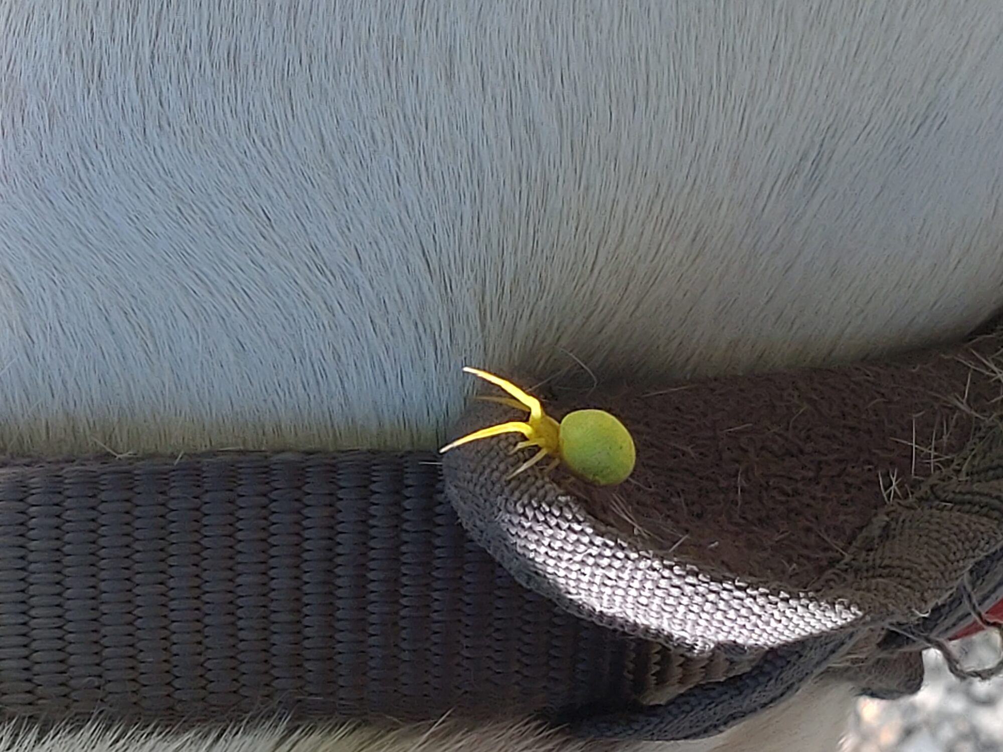 Valokuvaaja: Jonna Weckström