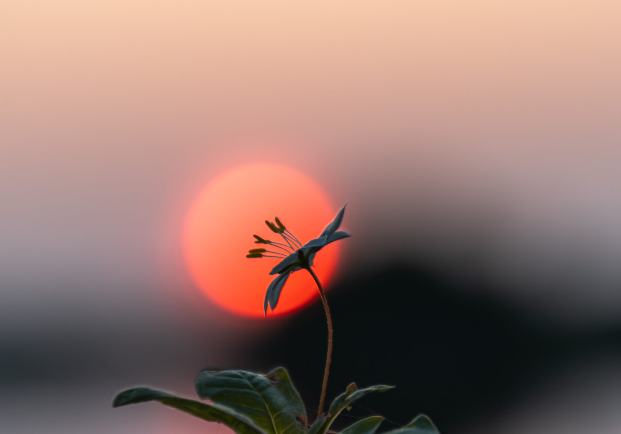 Valokuvaaja: Leena Rissanen