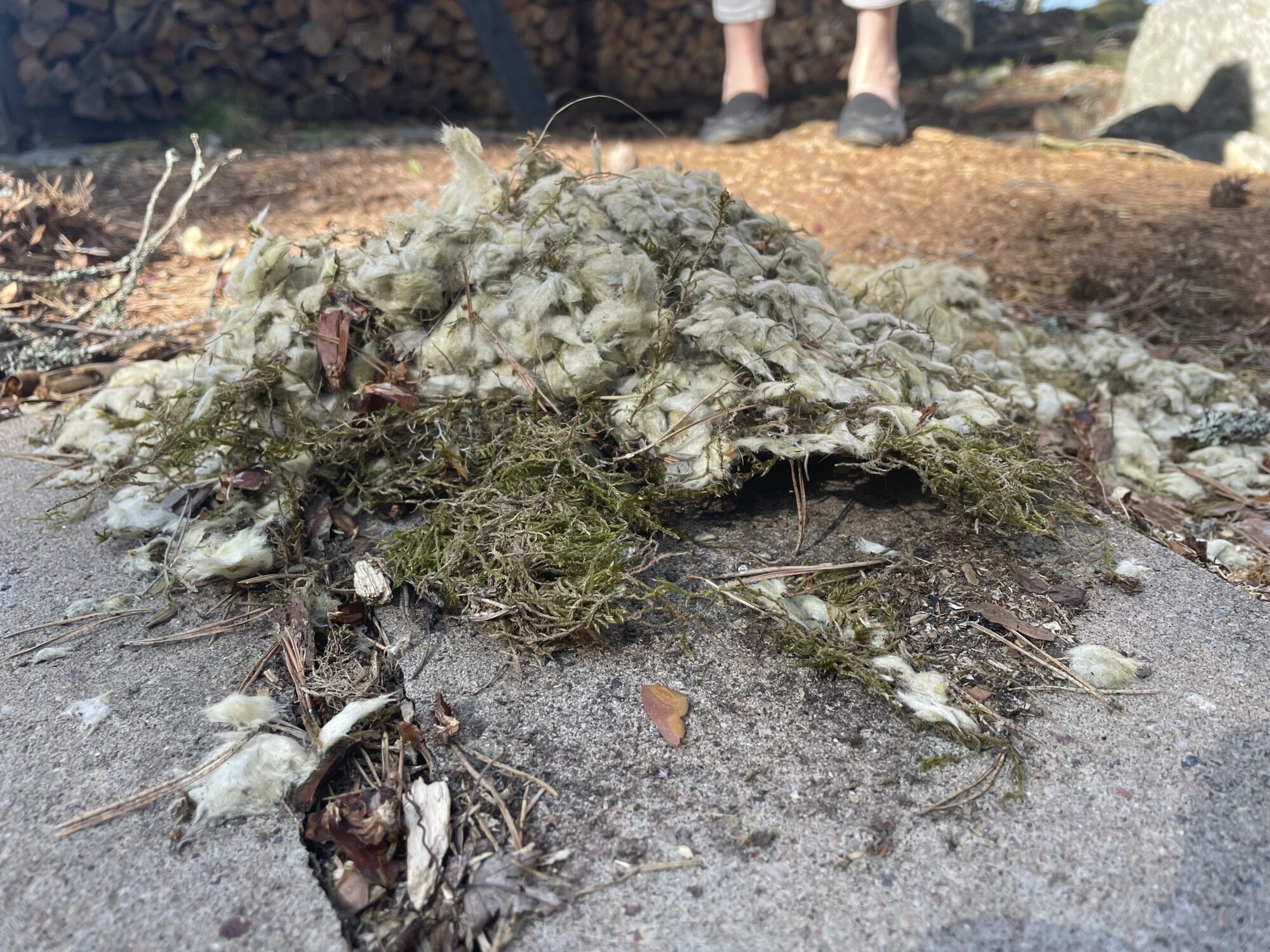 Valokuvaaja: Jaakko Mäkinen Valokuvaaja: Jaakko Mäkinen